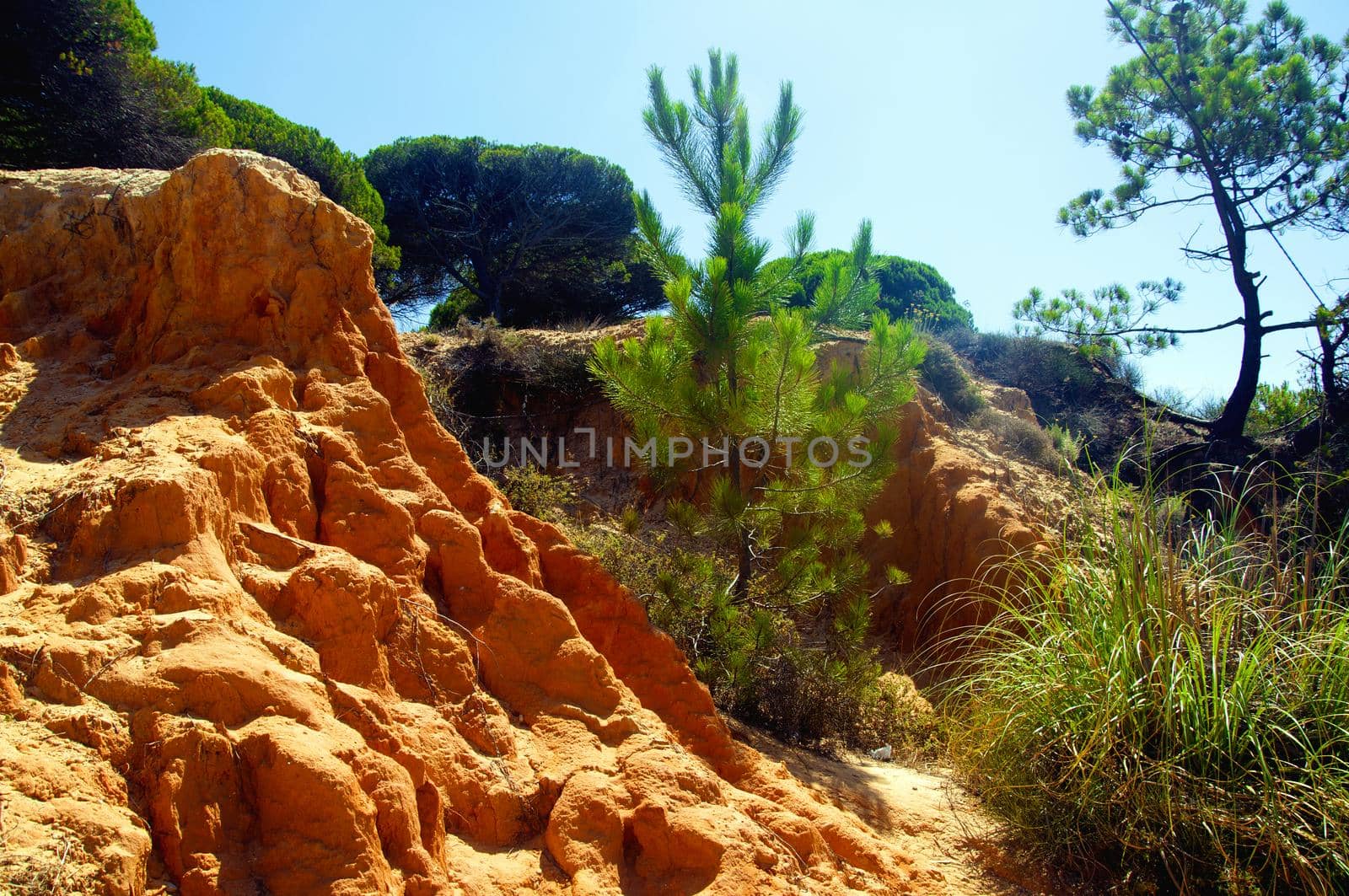 Small canyon mountains and pine trees in Portugal, summer by Bezdnatm