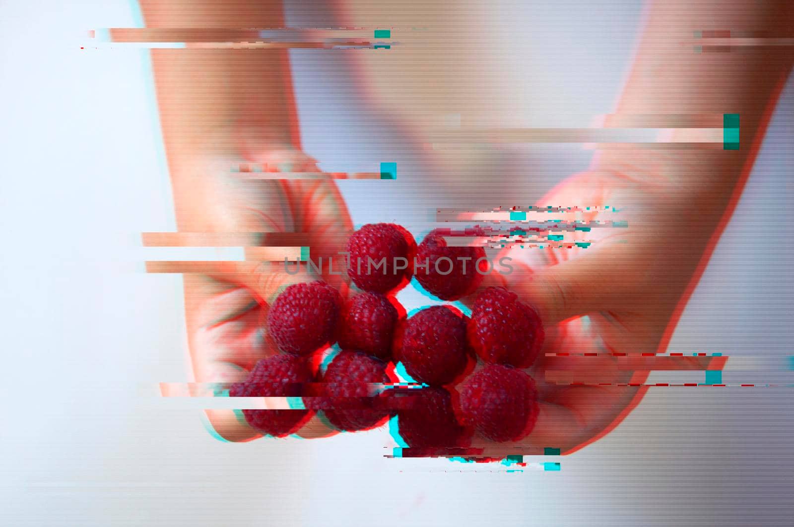 Raspberries on the fingers of a child, isolated