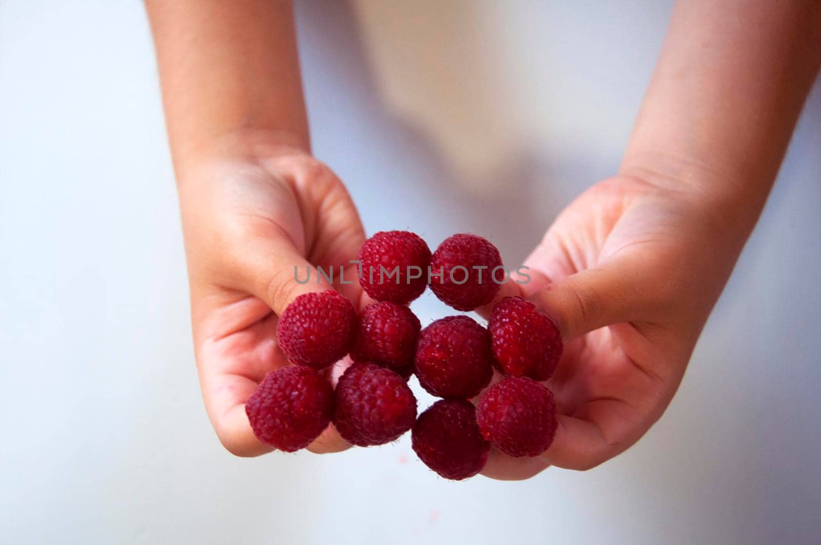 Raspberries on the fingers of a child, isolated