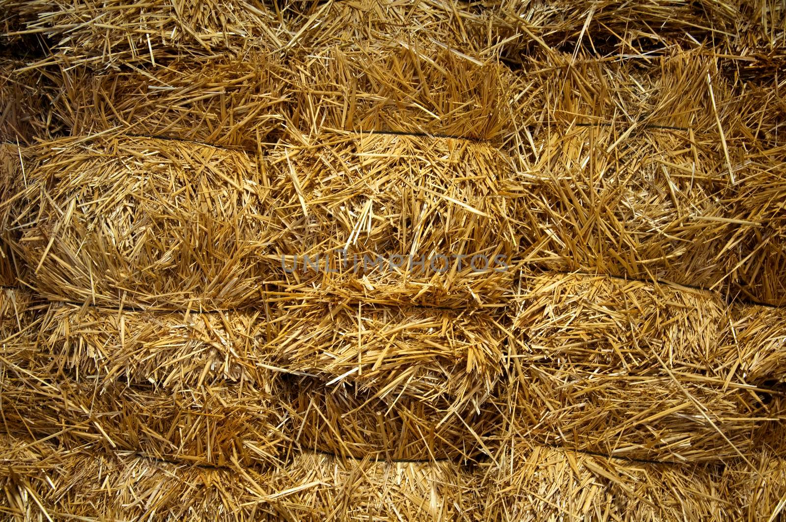 Bug bricks of yellow hay, close-up, Spain