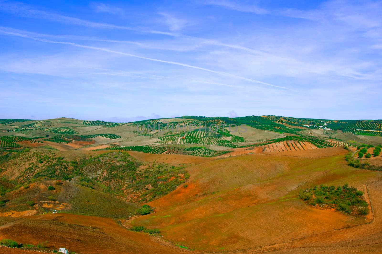 Green field landscape under the blue sky, Spain