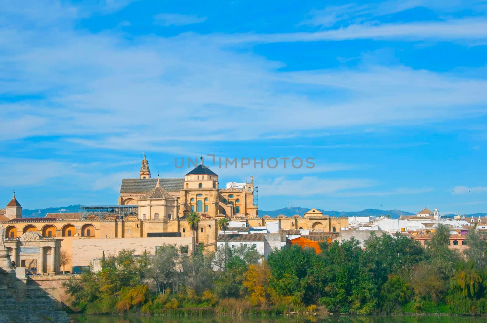 View on the castle, trees and blue sky