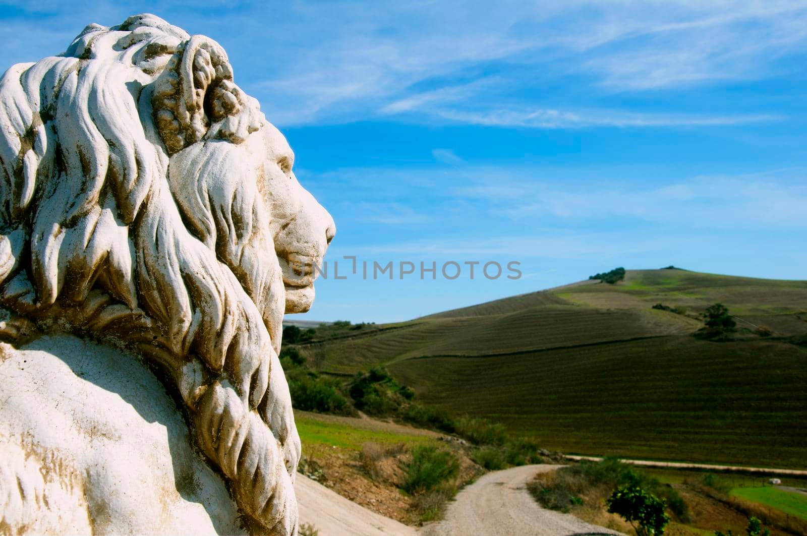 Head of lion sculpture looking at the road in the field background by Bezdnatm