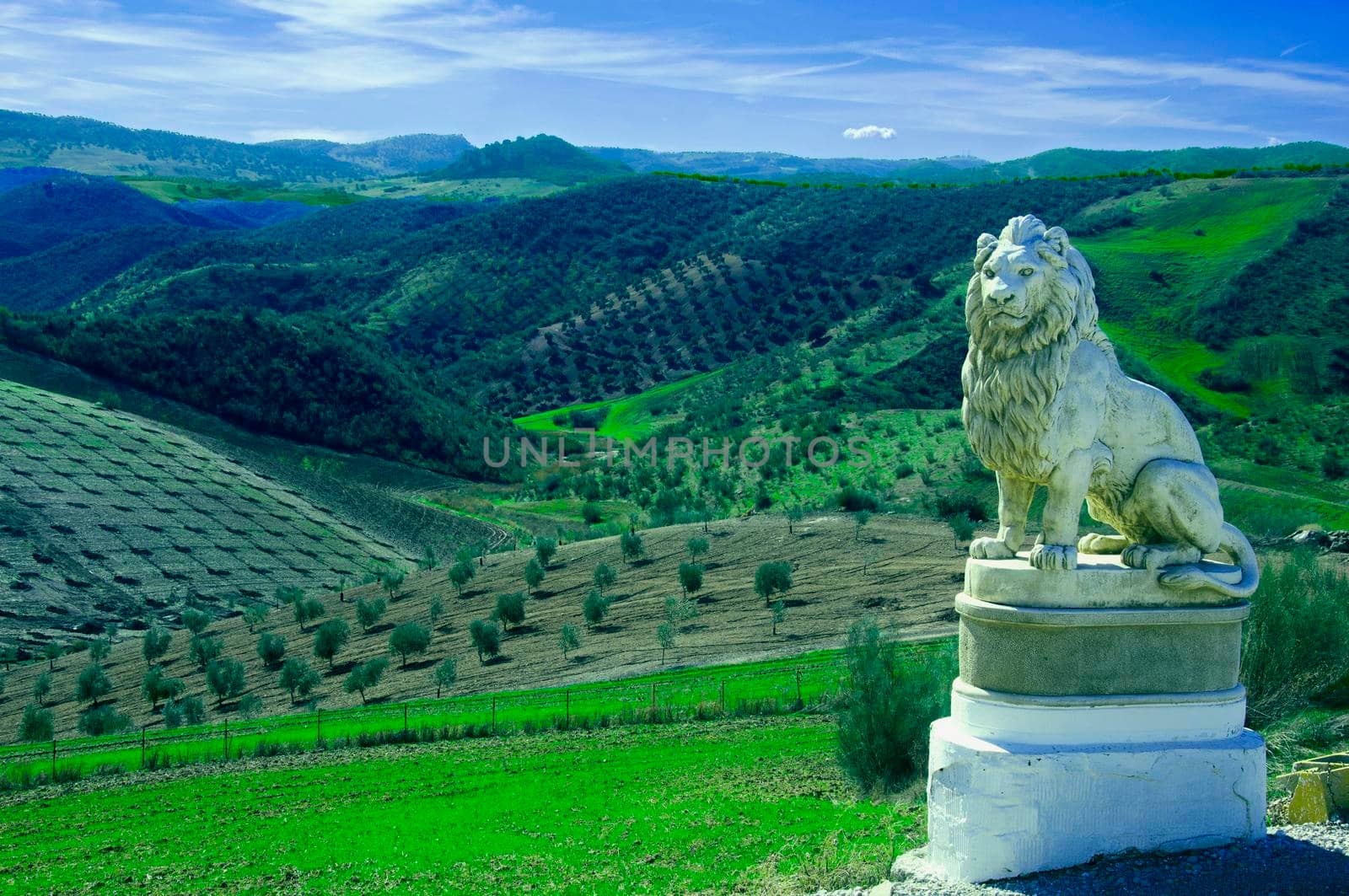 Statue of lion in the background of olive fields, Spain