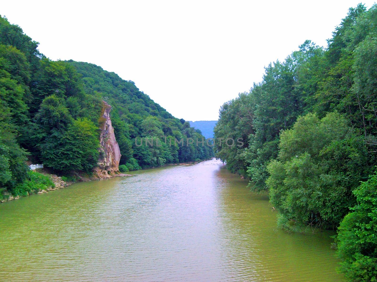 Wide view of the river bank and forest , summer, Russia