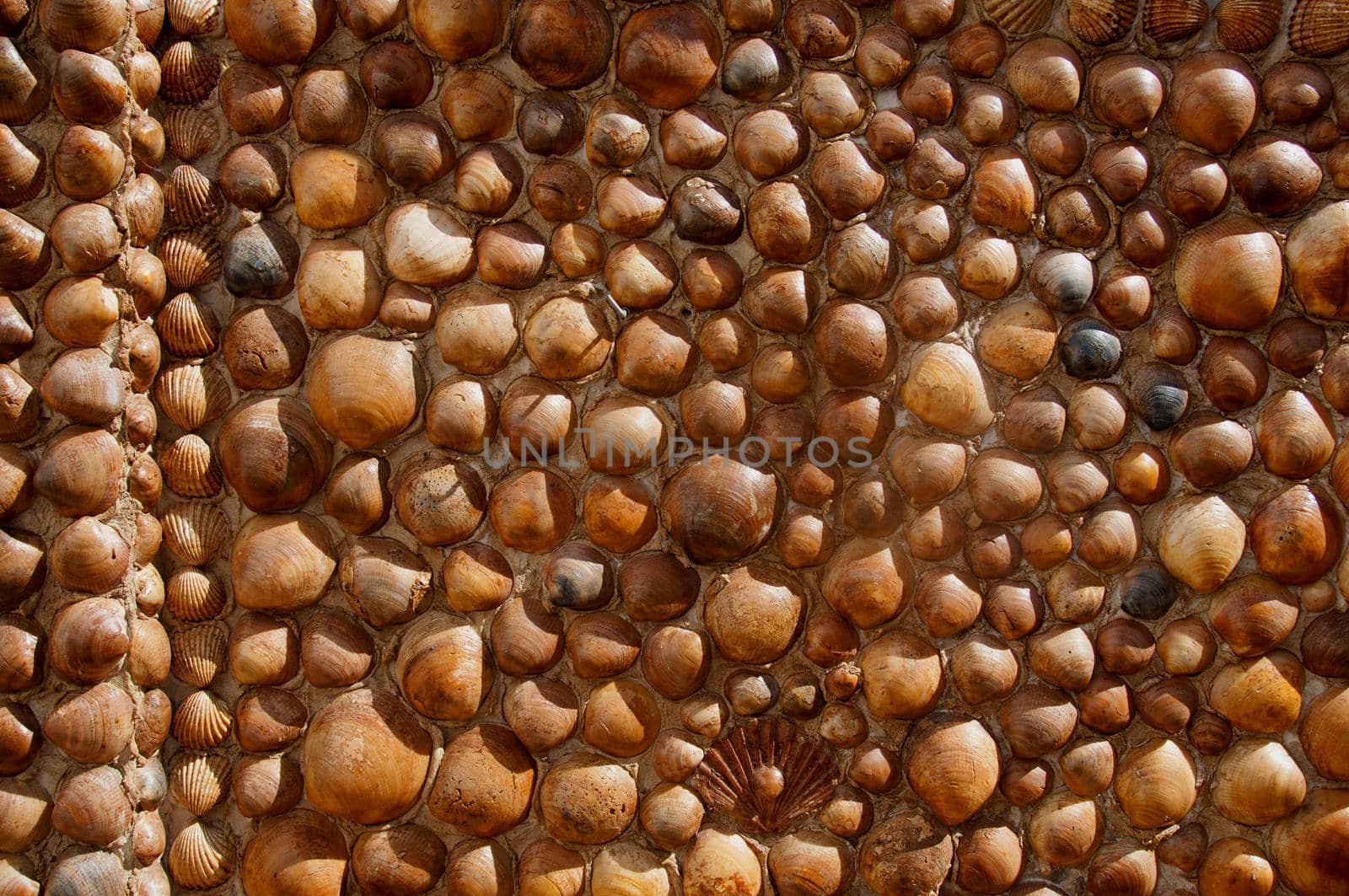 Brown round seashell textured wall during day time, summer, Portugal