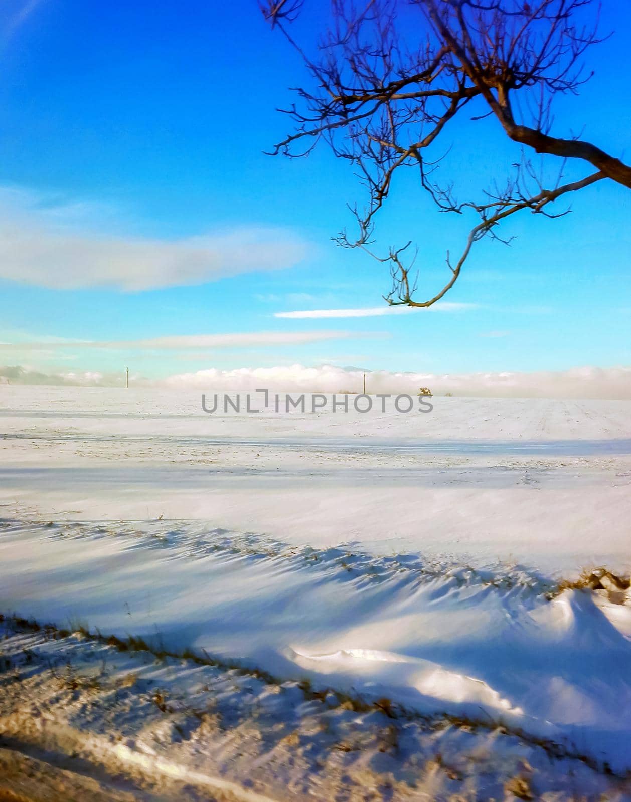 Fields of snow and blue sky in the road to Prague, winter, morning time