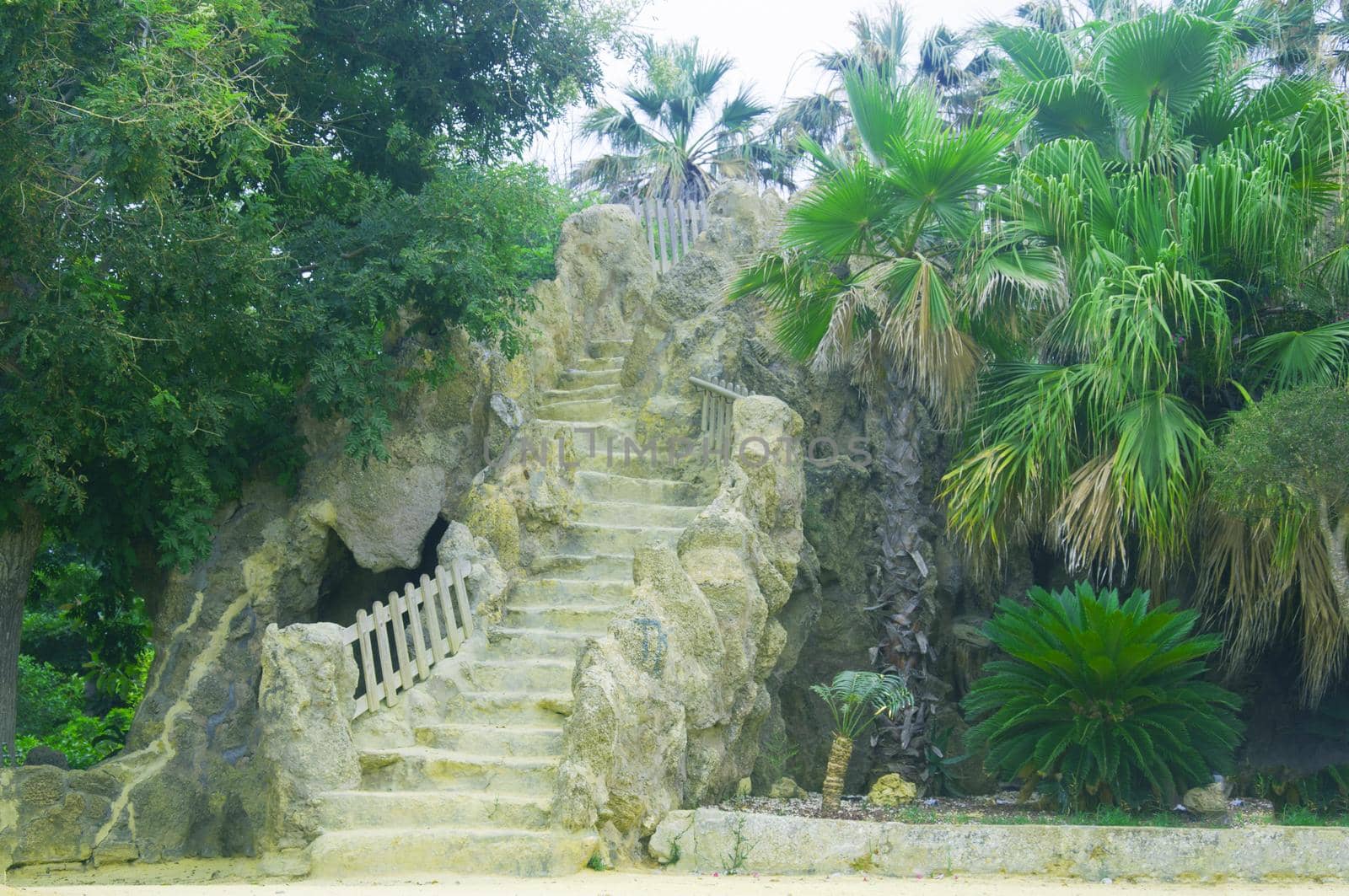 White sand stairs and palm trees, park, summer
