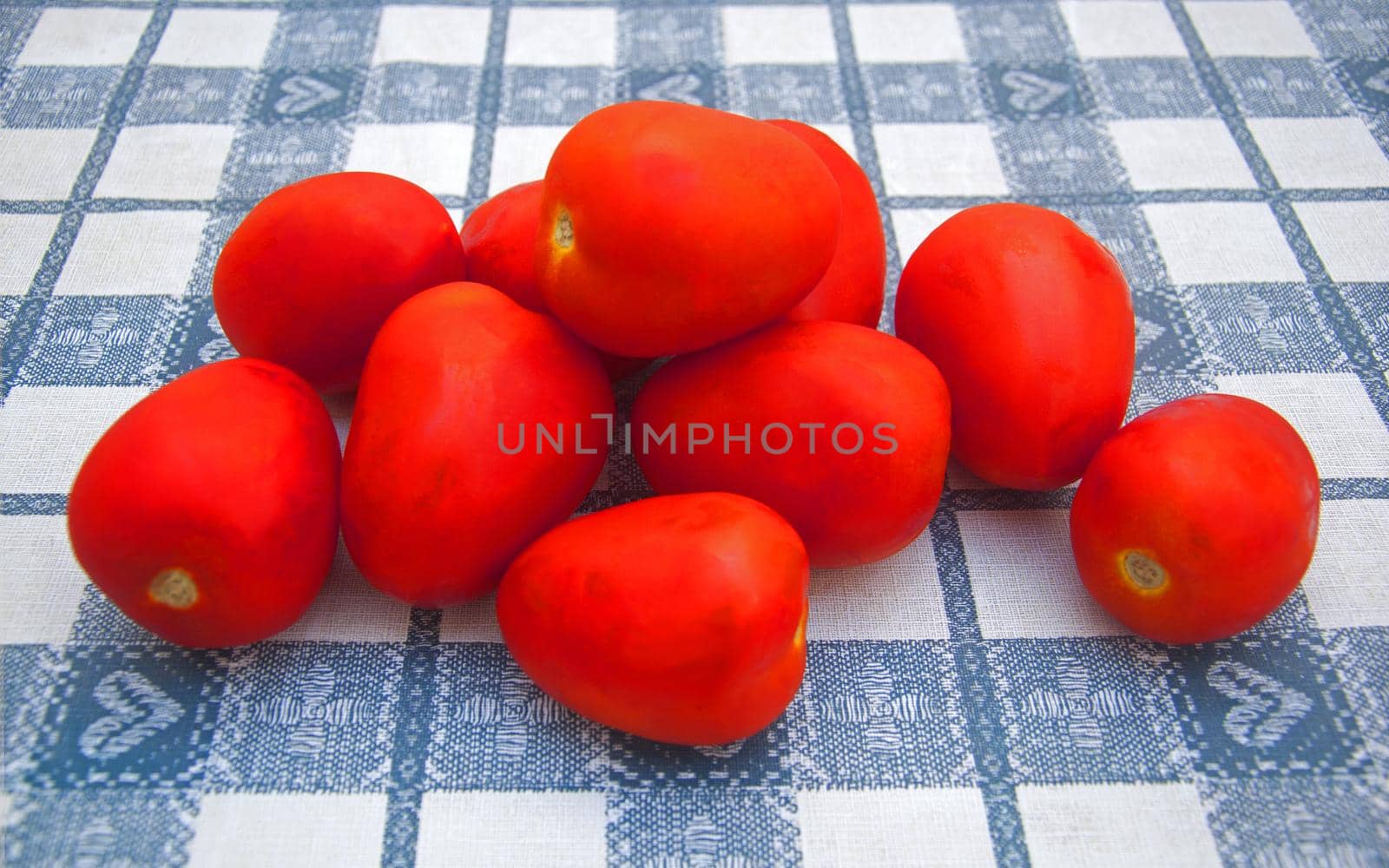 Red plum tomatoes on the table, summer