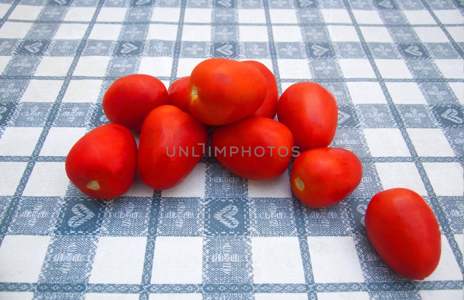 Red plum tomatoes on the table, close up, summer