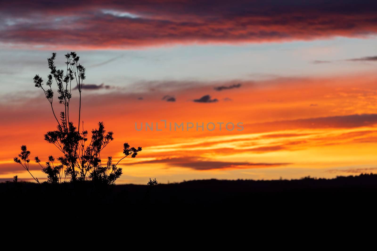 Vibrant red sunset caused by bushfire smoke in the blue mountains in Australia by WittkePhotos