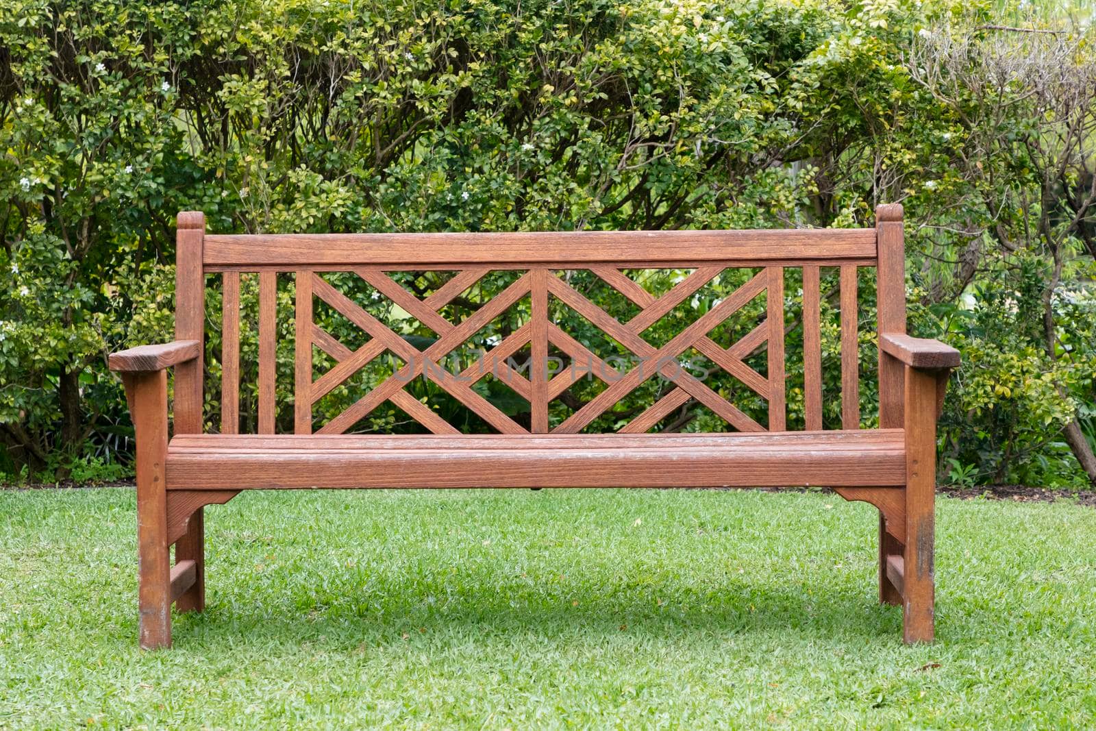 A wooden bench on grass near a hedge in a large garden