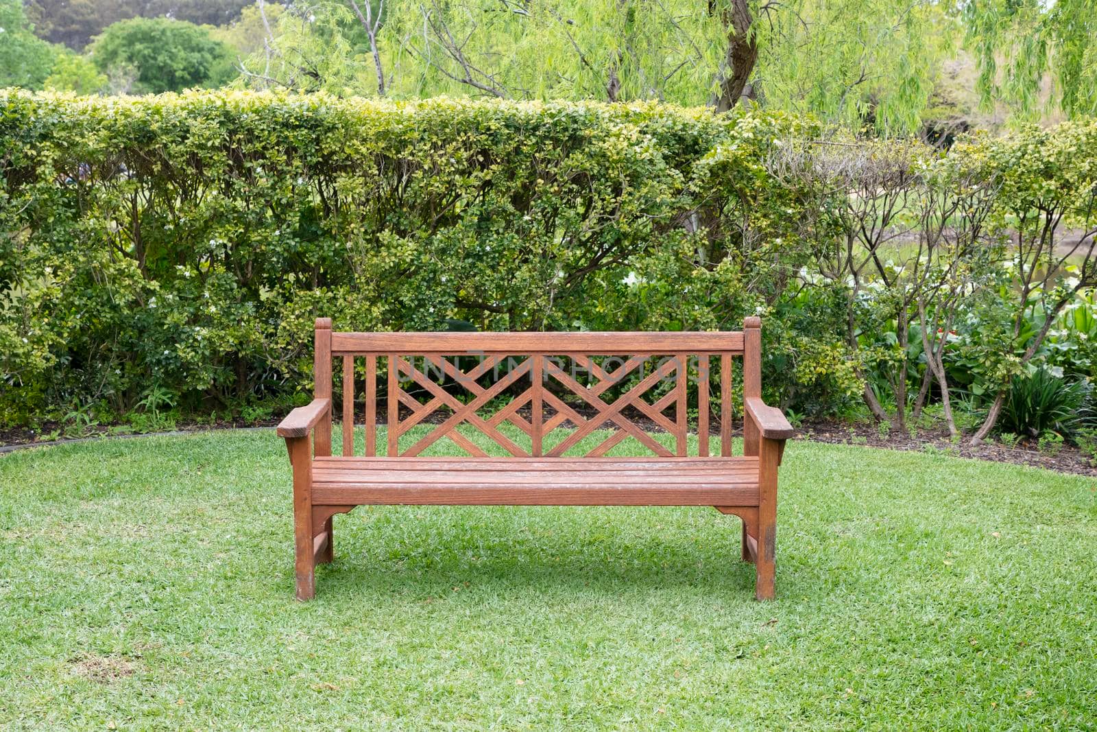 A wooden bench on grass in a large garden by WittkePhotos