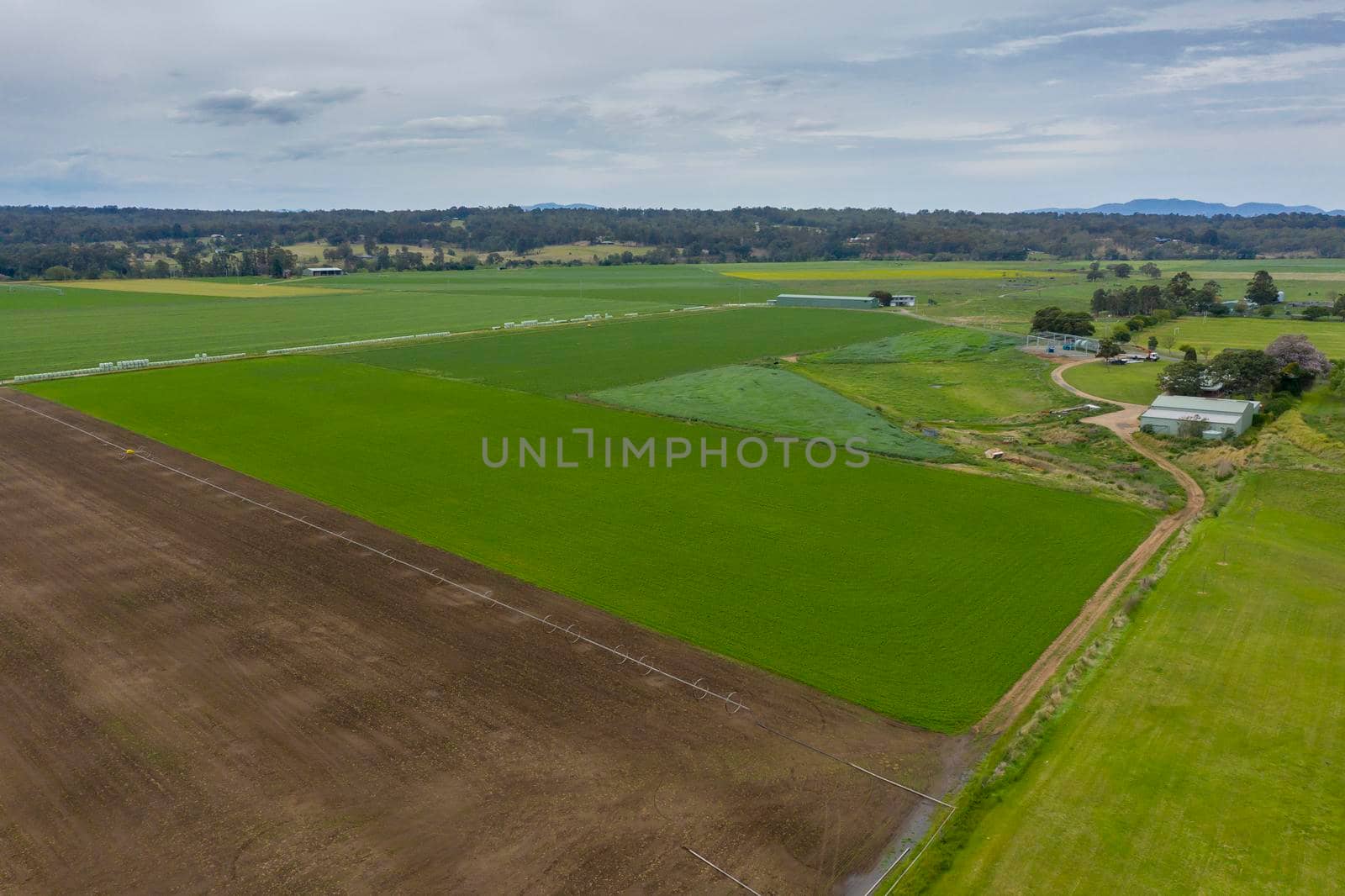 Aerial view of green farmland in regional New South Wales in Australia by WittkePhotos