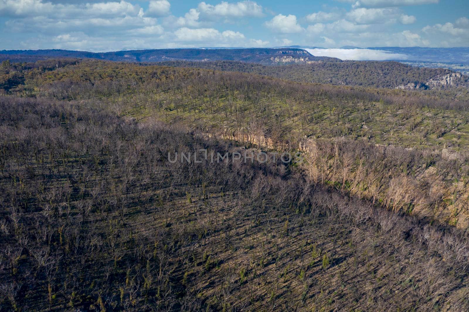 Aerial view of low clouds in a valley of forest regeneration after bushfires in The Blue Mountains in regional New South Wales in Australia