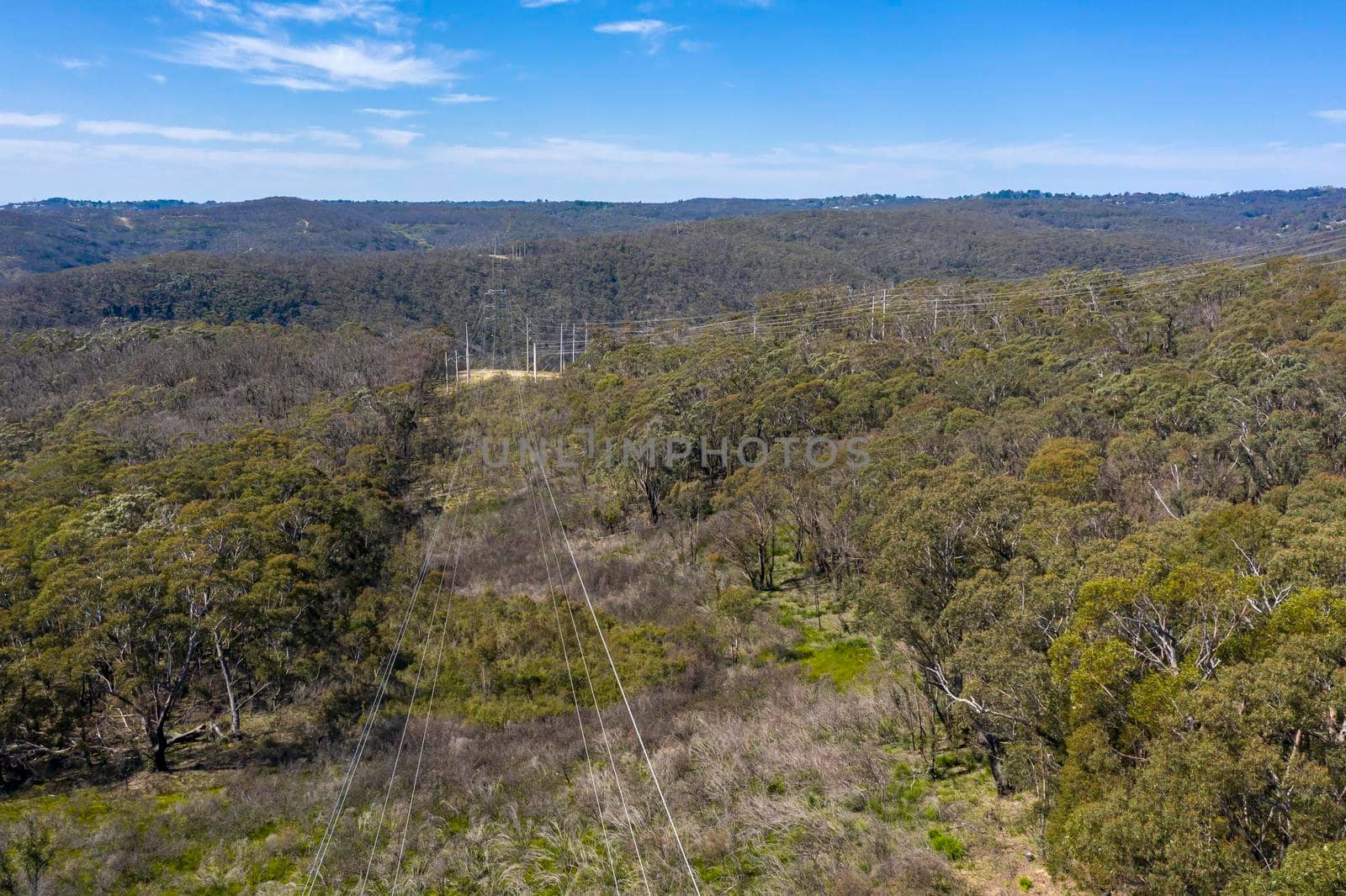 Aerial view of transmission towers and power lines running through a forest in regional Australia