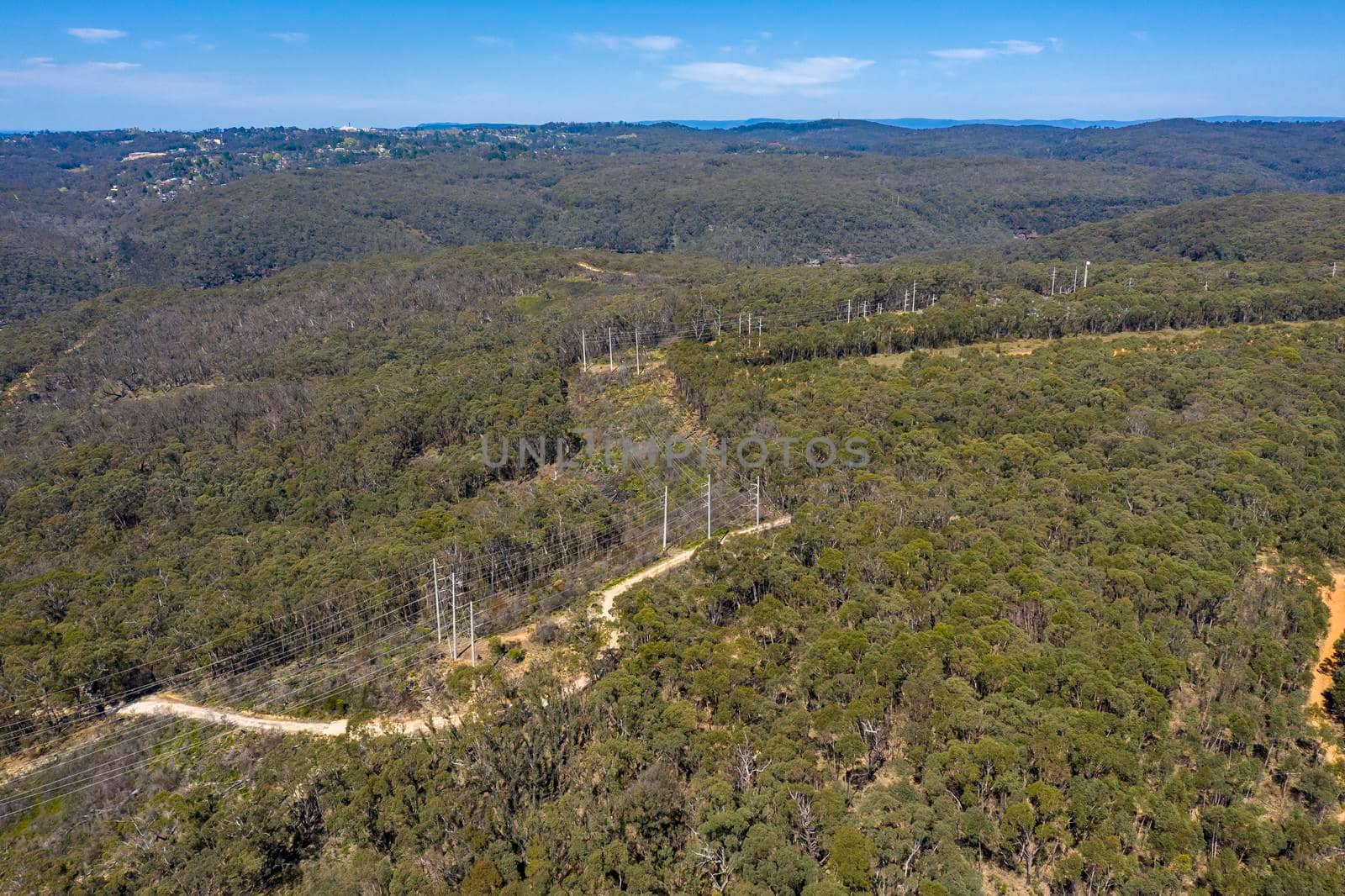 Aerial view of transmission towers and power lines running through a forest in regional Australia