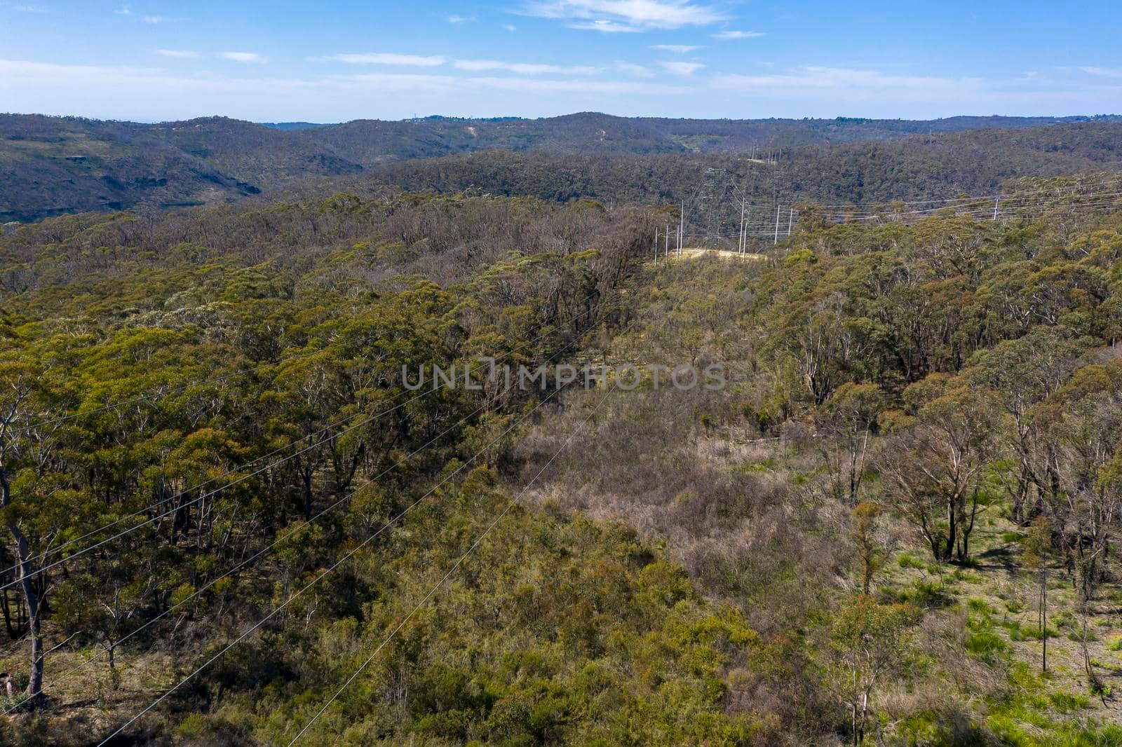 Aerial view of transmission towers and power lines running through a forest in regional Australia