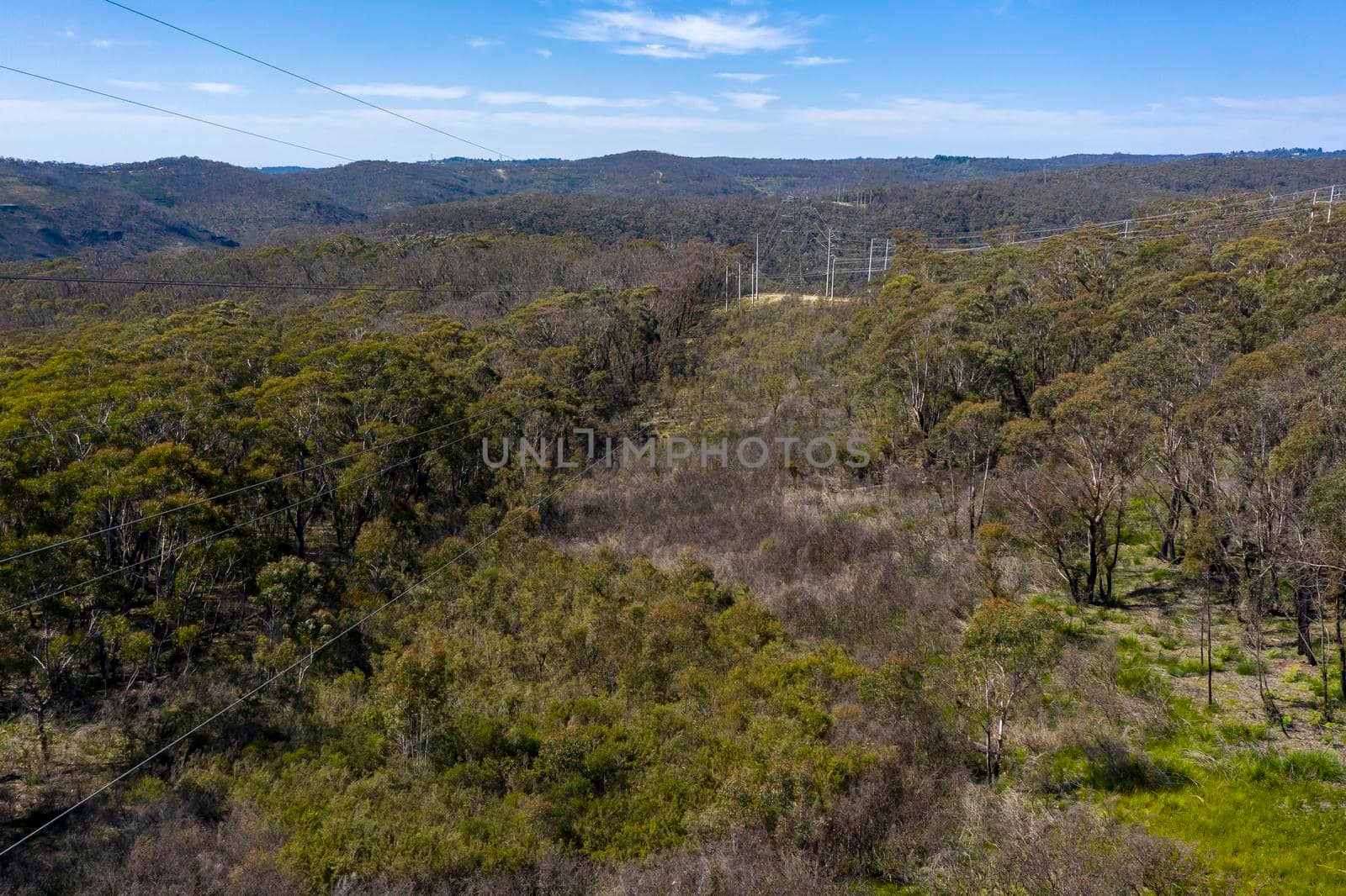 Aerial view of transmission towers and power lines running through a forest in regional Australia