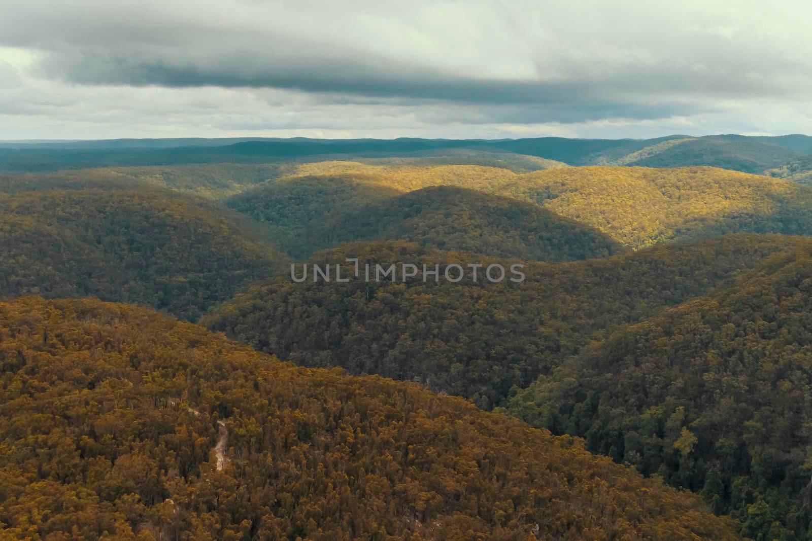 Aerial view of Sassafras Gully in The Blue Mountains in regional Australia by WittkePhotos