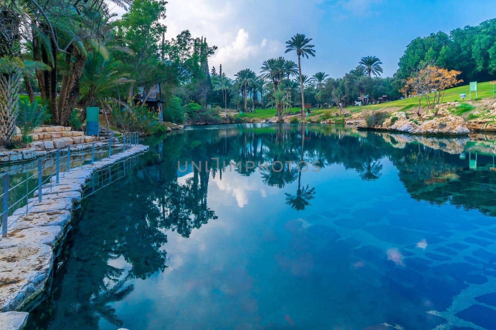 View of natural warm water pool in Gan HaShlosha National Park (Sakhne), in the Bet Shean Valley, Northern Israel