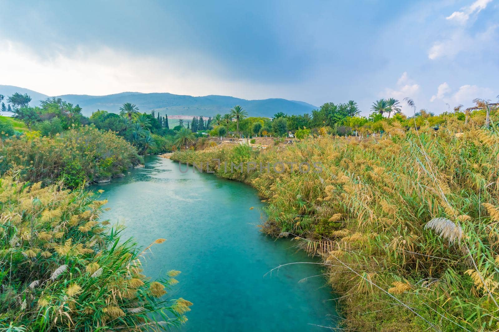 Landscape of the Amal stream in Gan HaShlosha National Park by RnDmS