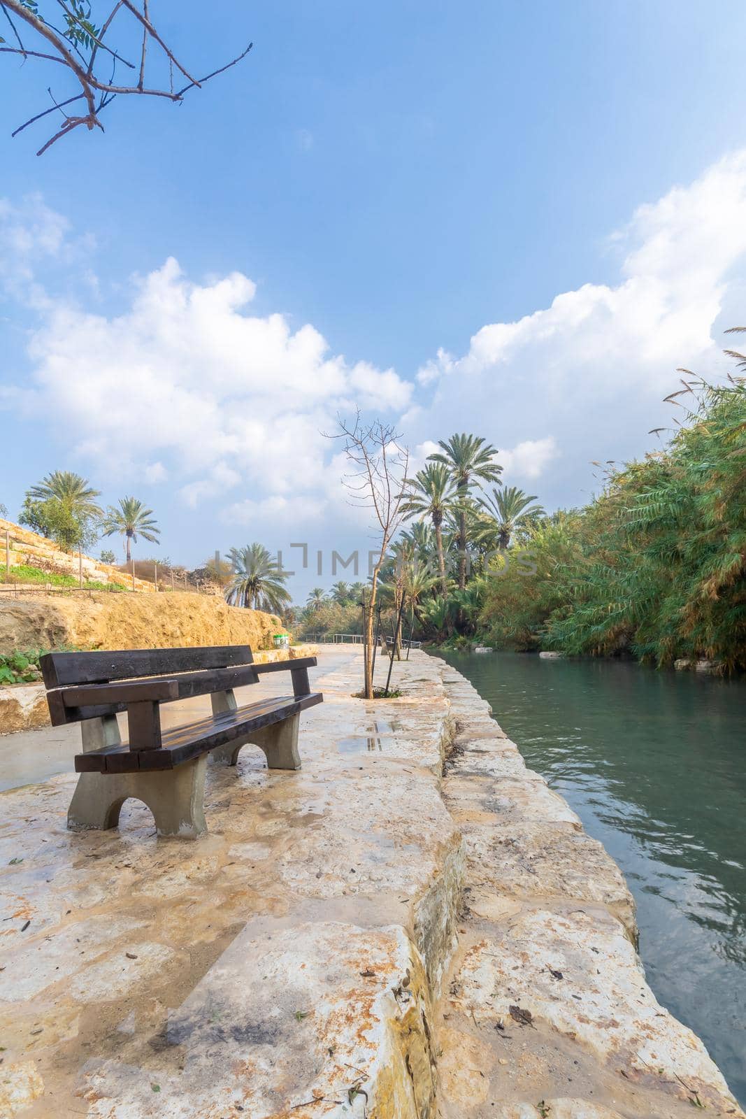 Footpath and a bench along the Amal stream, in Gan HaShlosha National Park (Sakhne), in the Bet Shean Valley, Northern Israel