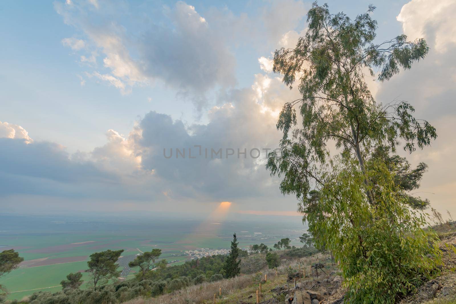 Sunset view of the Jezreel valley from Givat HaMore by RnDmS