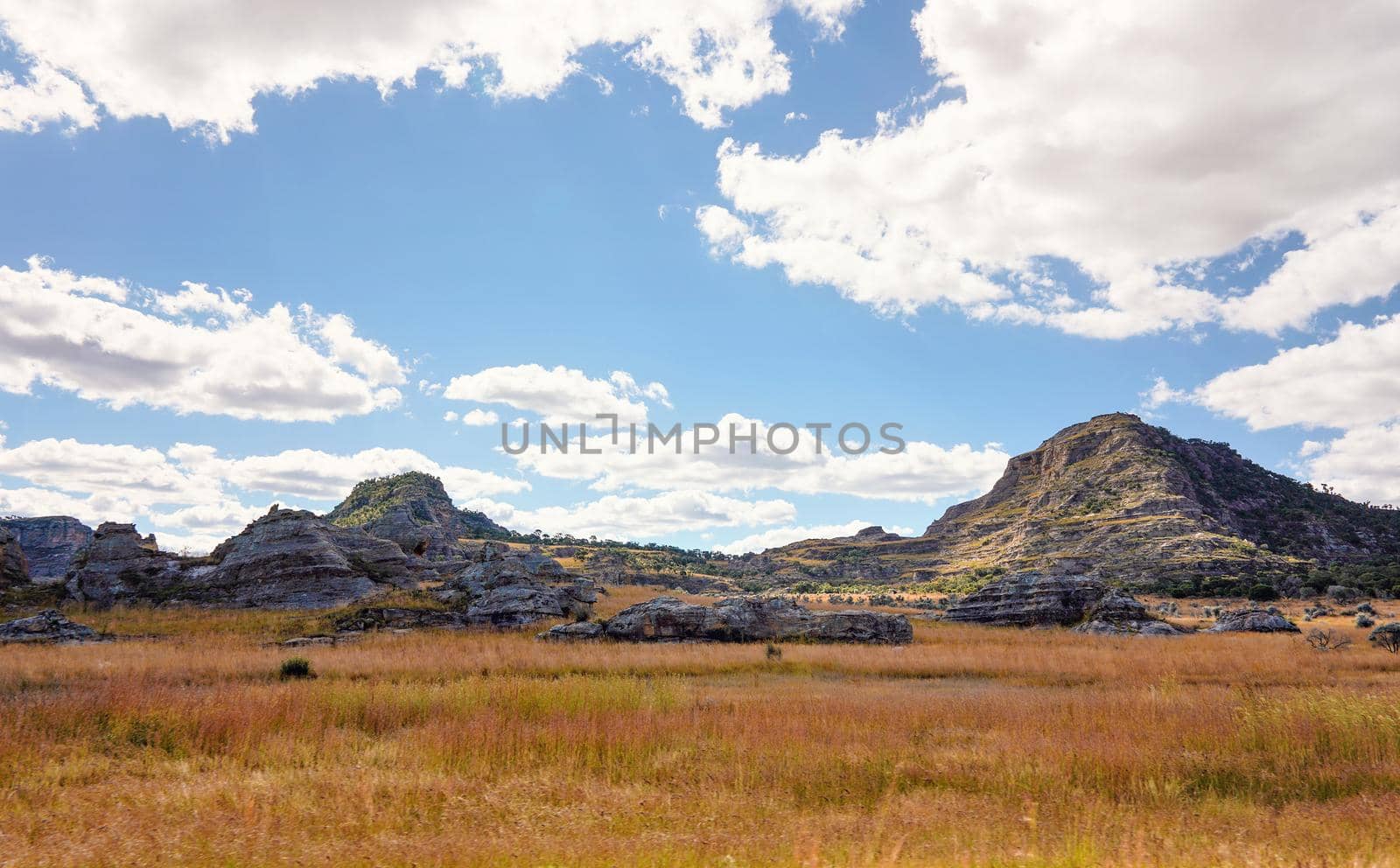 Low grass growing on African savanna, small rocky mountains in background - typical scenery at Isalo national Park, Madagascar.