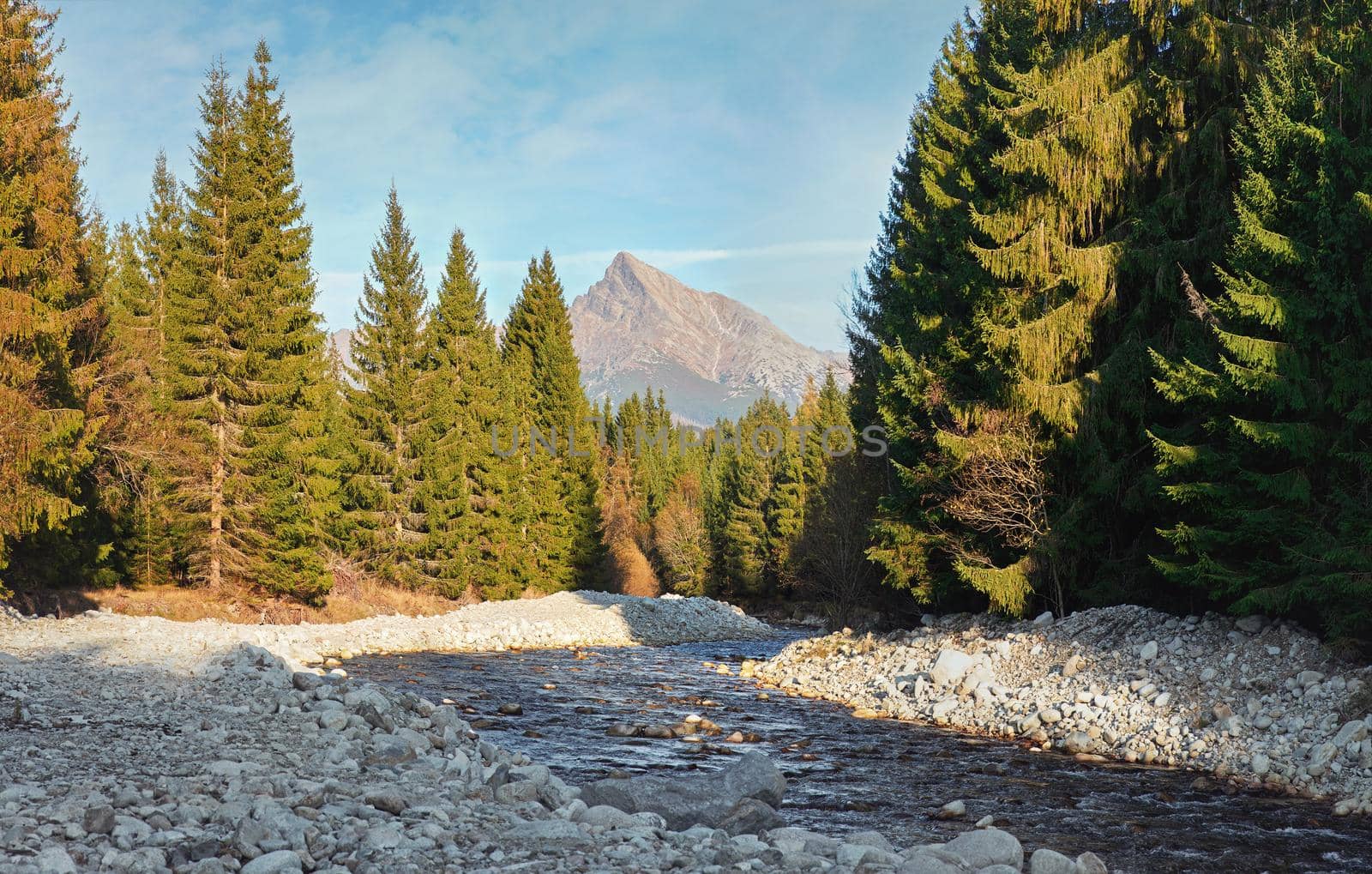 Forest river Bela with small round stones and coniferous trees on both sides, sunny day, Krivan peak - Slovak symbol - in distance.