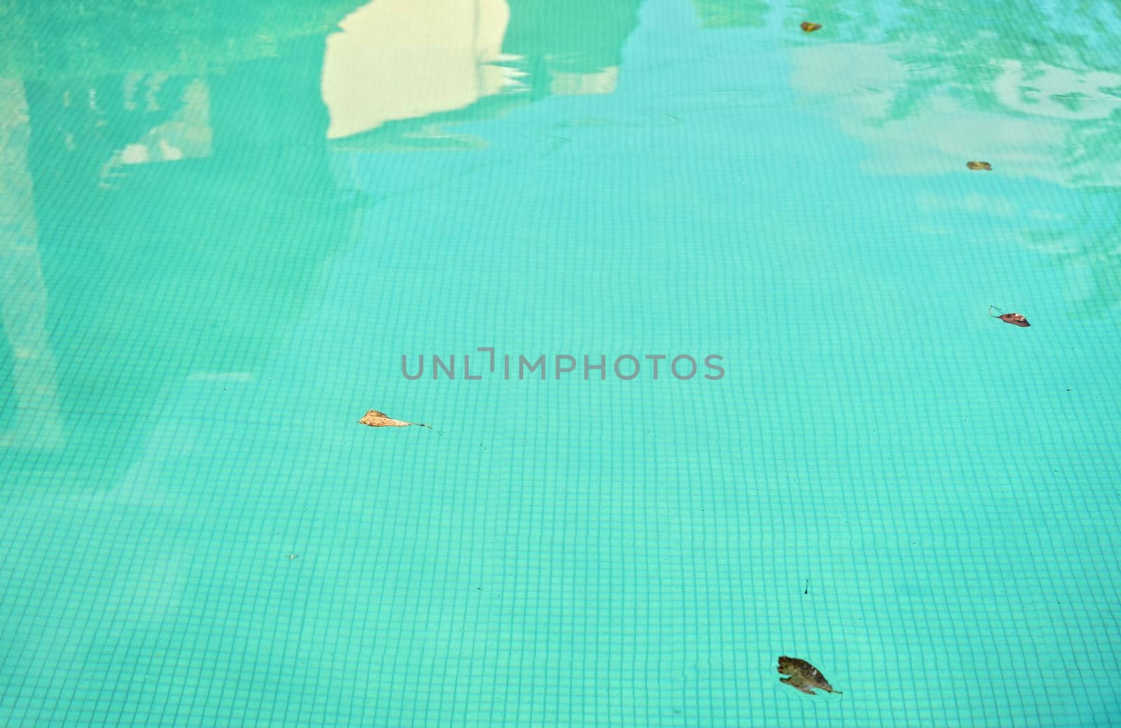 Empty hotel pool green cyan coloured water, few dry leaves on water surface by Ivanko