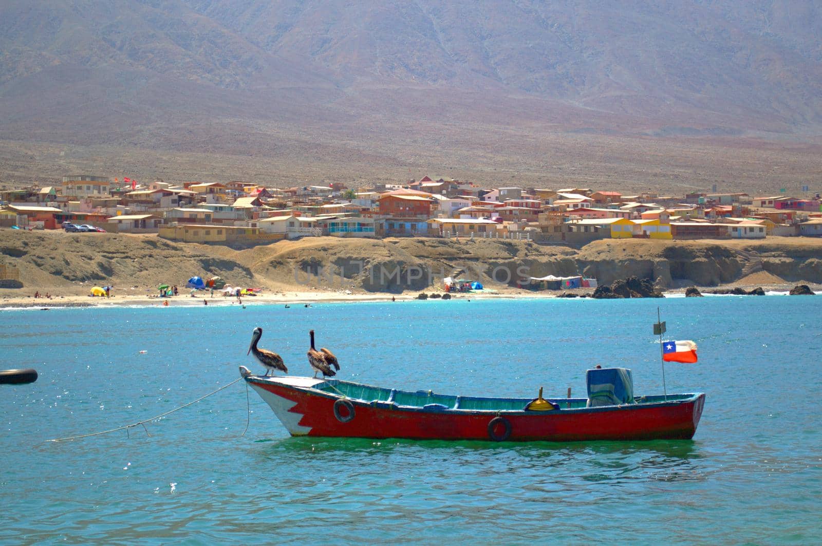 Black cormorants perched on a fishing boat in Juan Lopez, Antofagasta, Chile by hernan_hyper