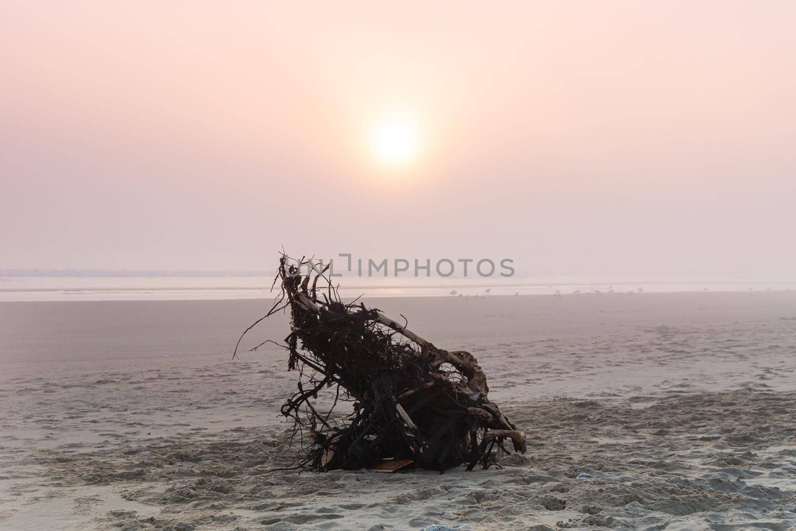 Sunrise light diffused by fog on the beach