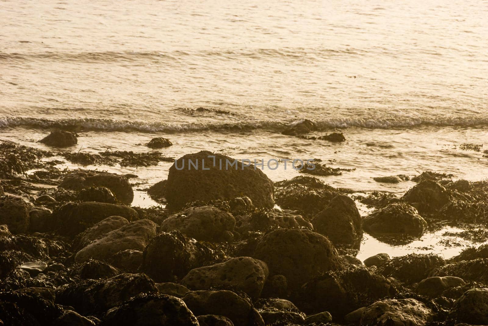 Sunrise light diffused by fog on the beach