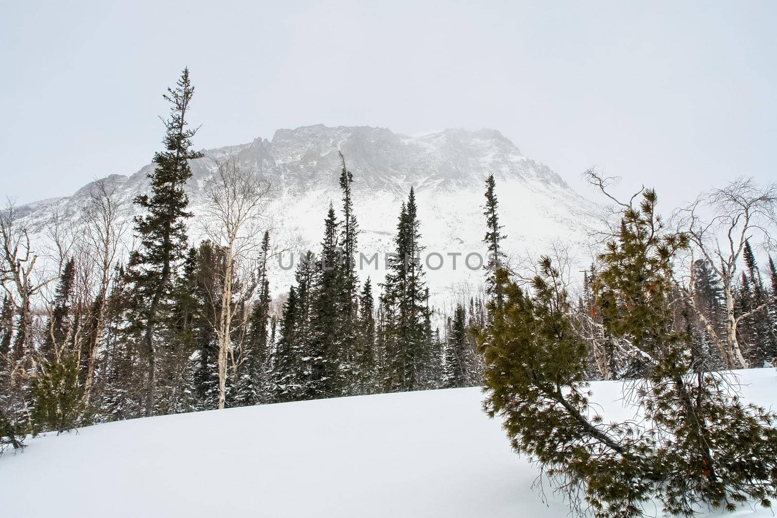 Baikal mountains in winter in snow. Forest in snow-covered mountains.