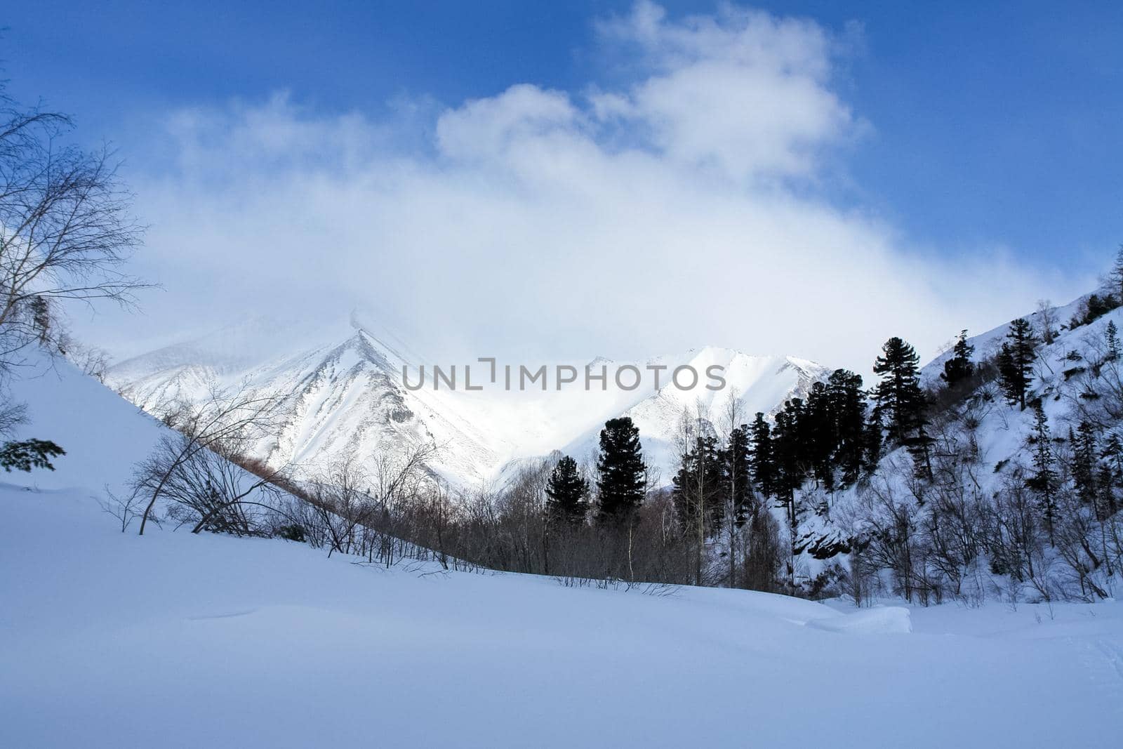 Baikal mountains in winter in snow. Forest in snow-covered mountains.