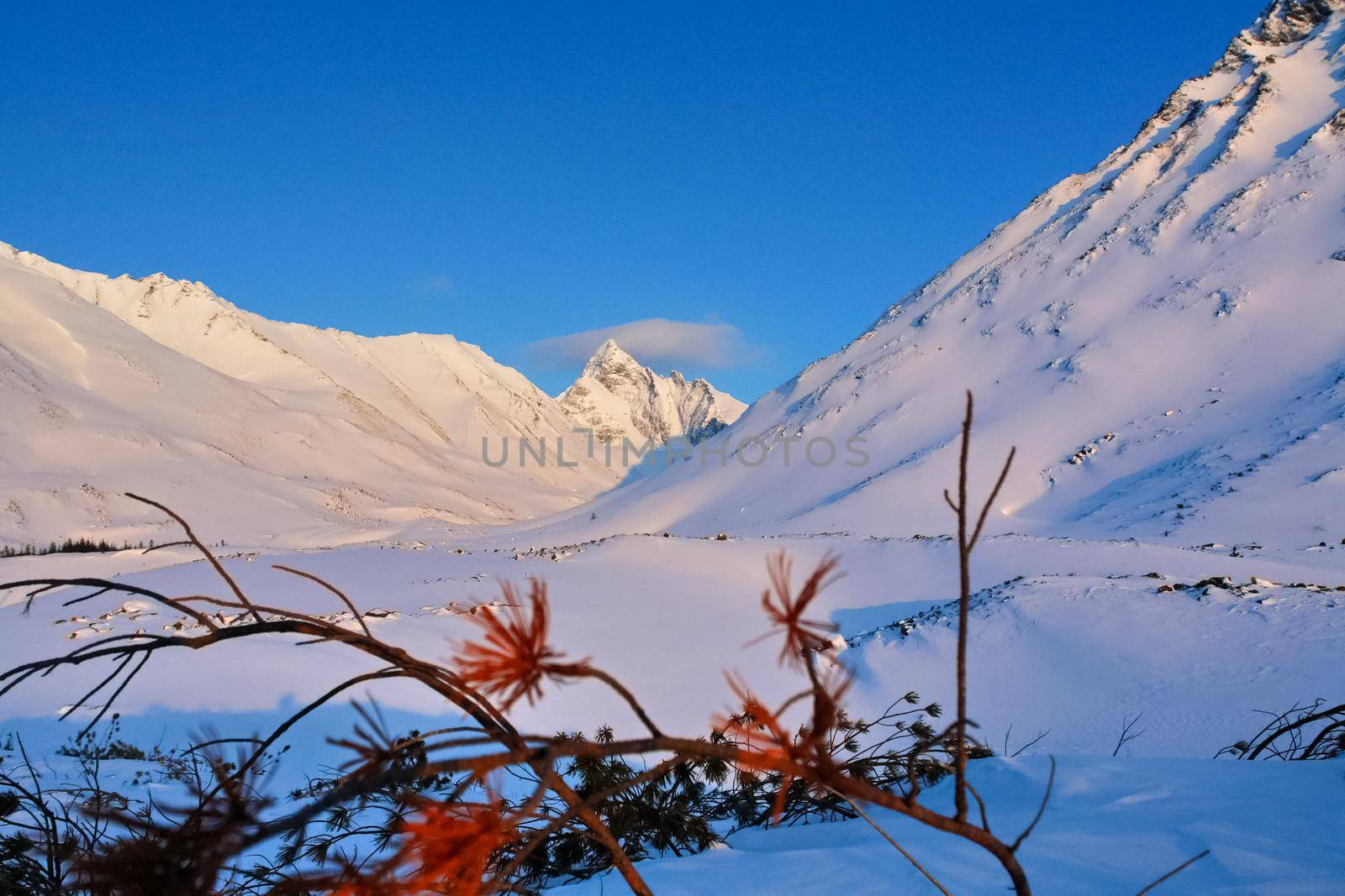 Baikal mountains in winter in snow. Forest in snow-covered mountains.