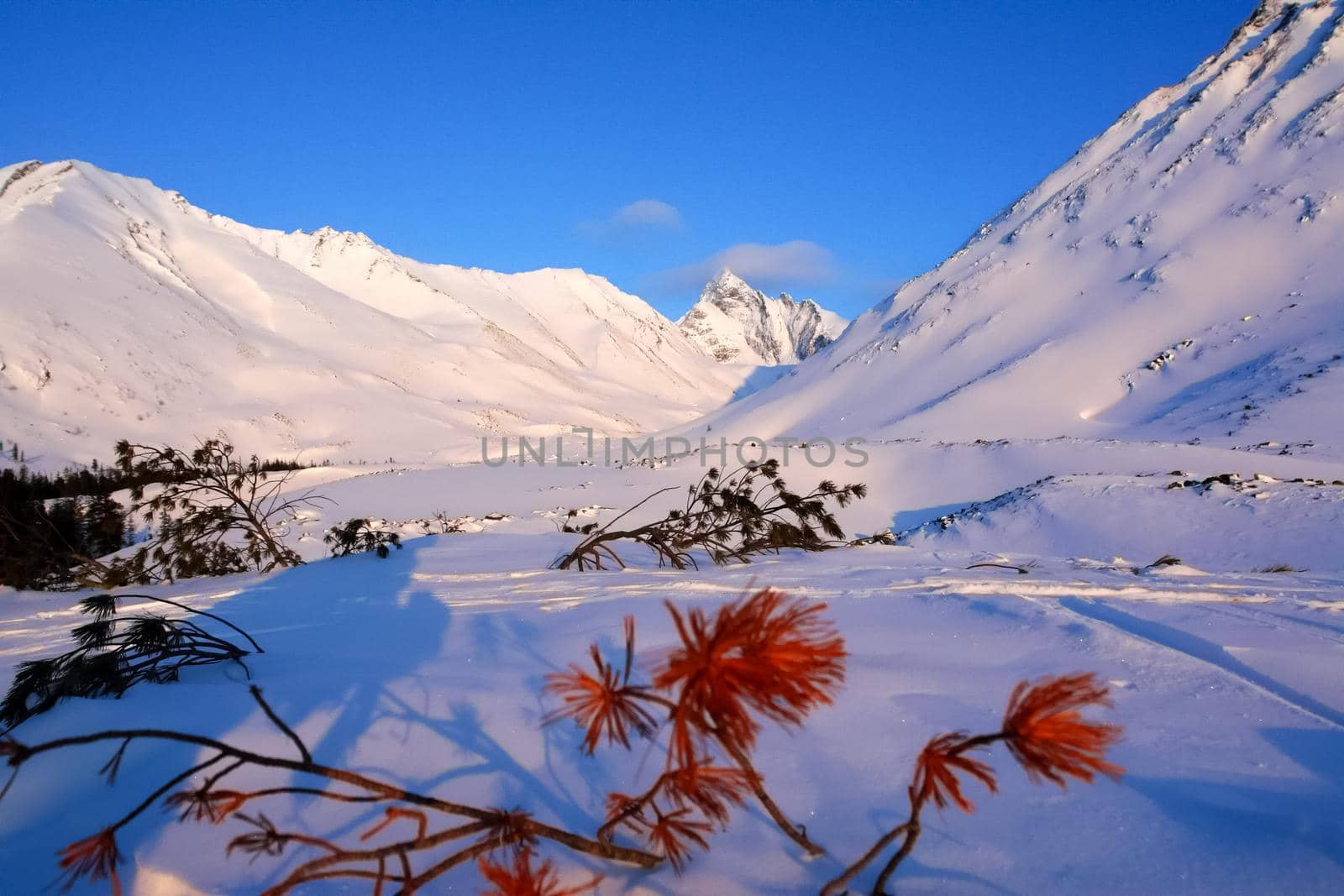 Baikal mountains in winter in snow. Forest in snow-covered mountains.