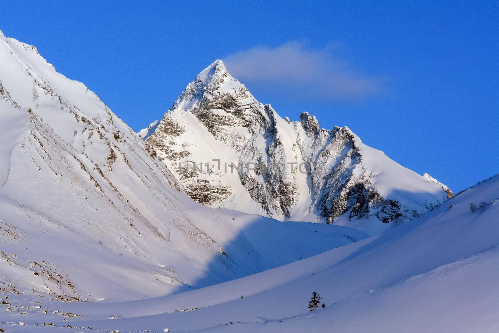 Baikal mountains in winter in snow. Forest in snow-covered mountains.