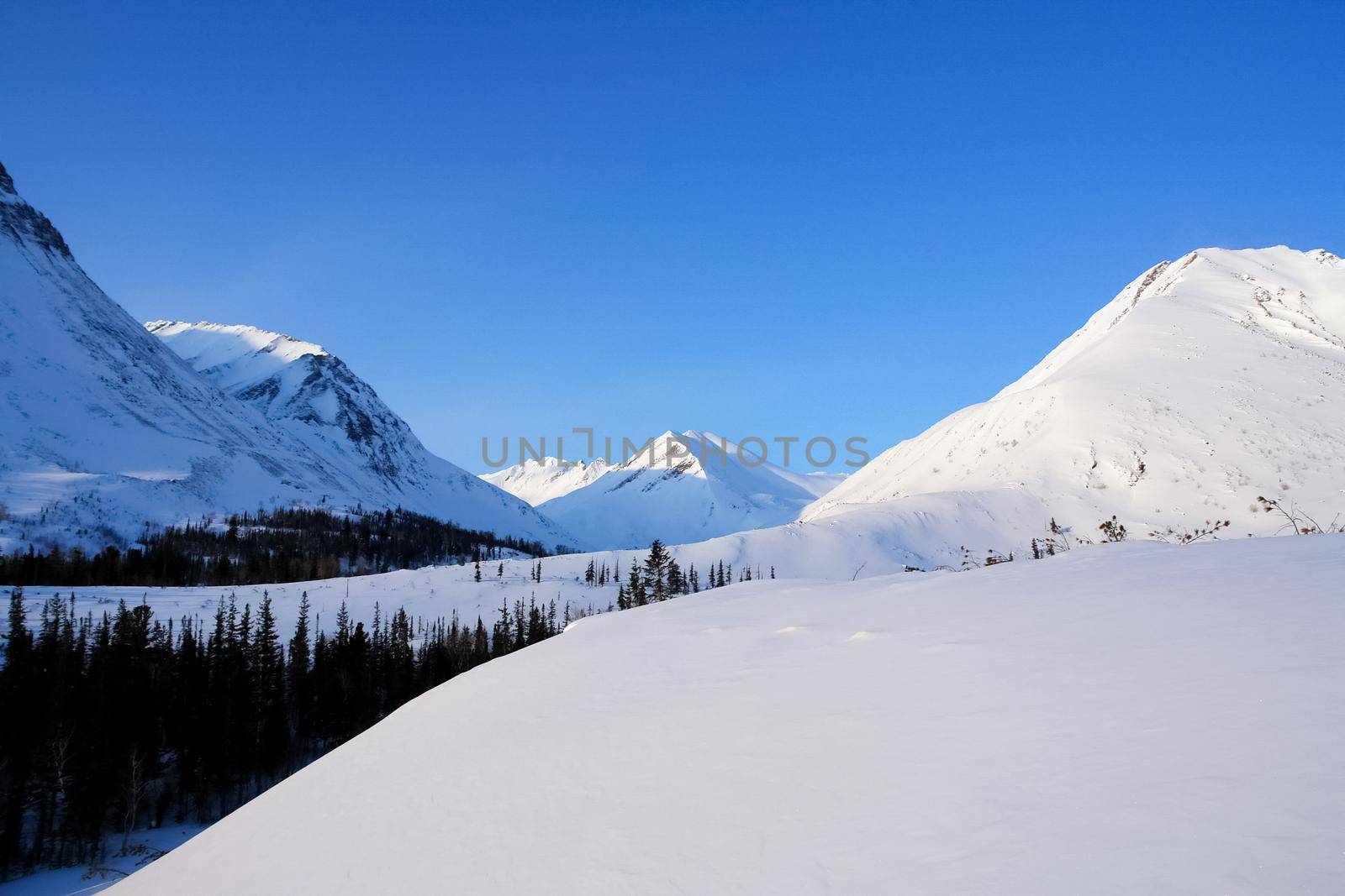 Baikal mountains in winter in snow. Forest in snow covered mountains. by DePo