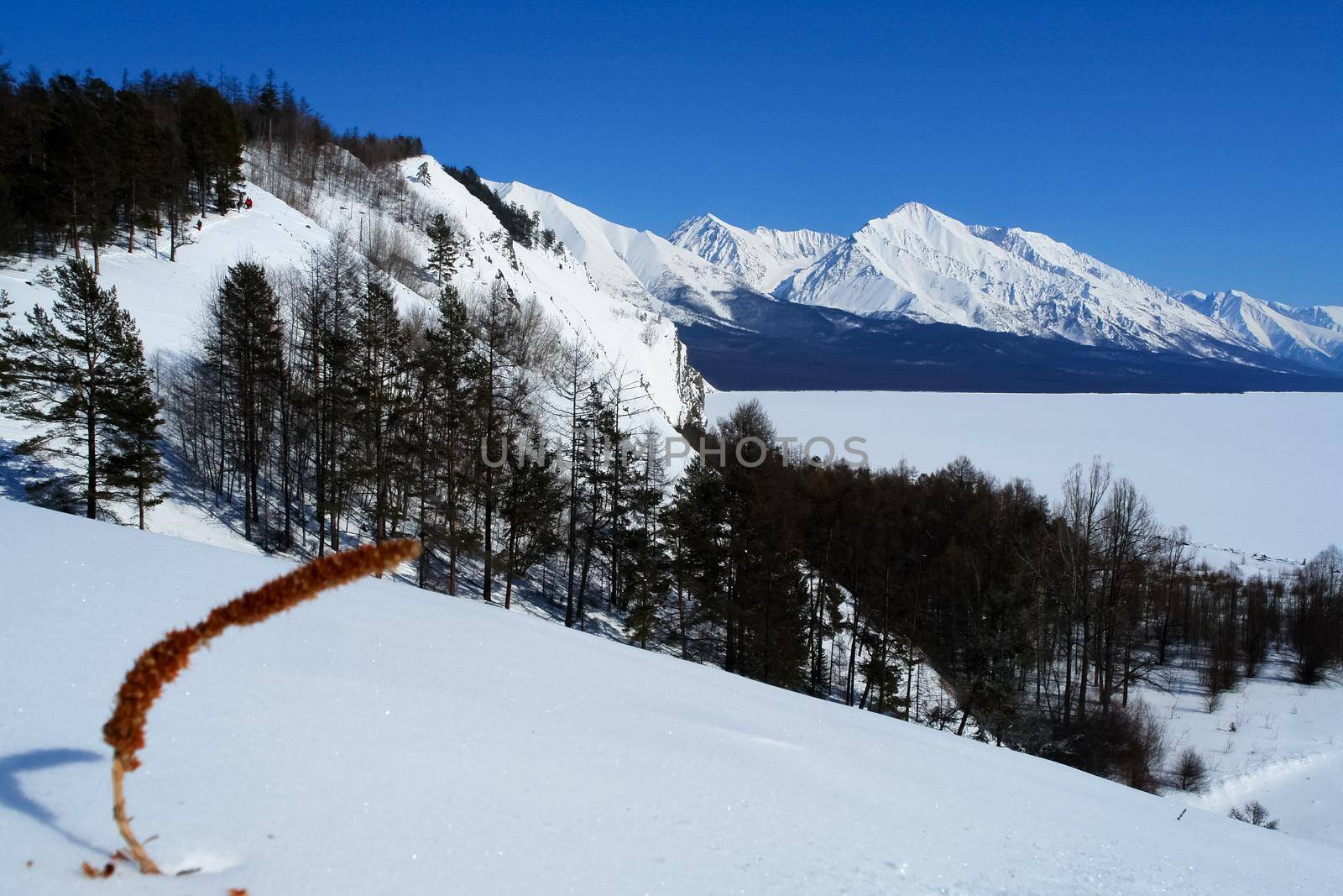 Baikal mountains in winter in snow. Forest in snow-covered mountains.