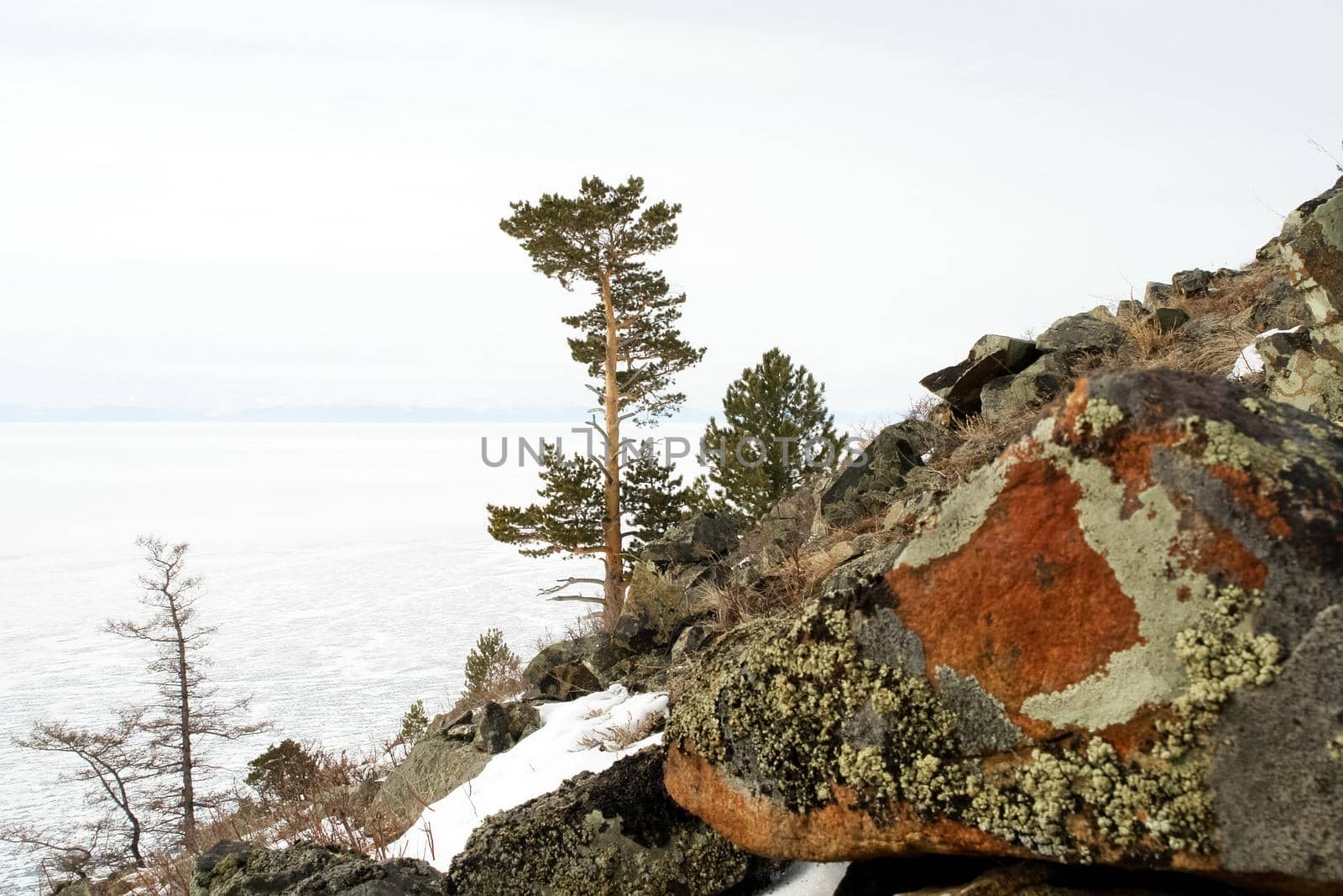 Baikal mountains in winter in snow. Forest in snow-covered mountains.