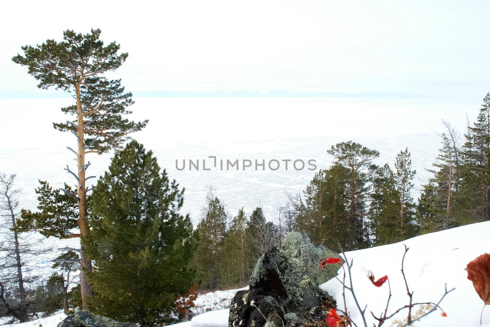 Baikal mountains in winter in snow. Forest in snow-covered mountains.