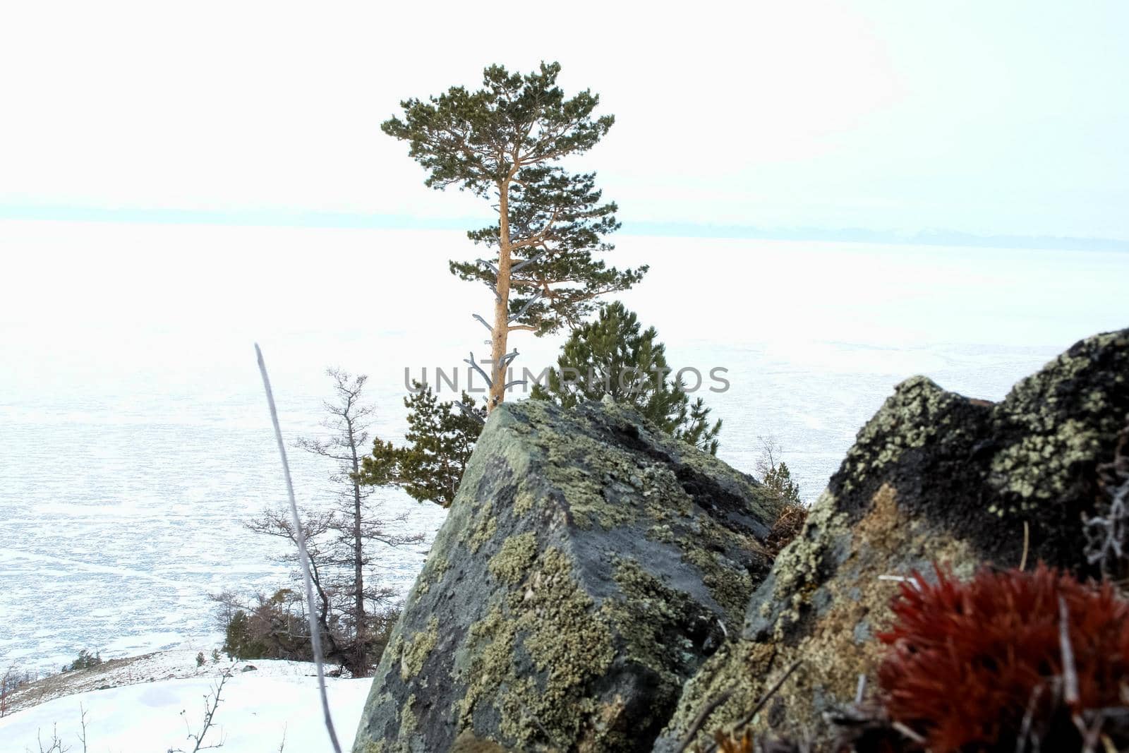 Baikal mountains in winter in snow. Forest in snow-covered mountains.