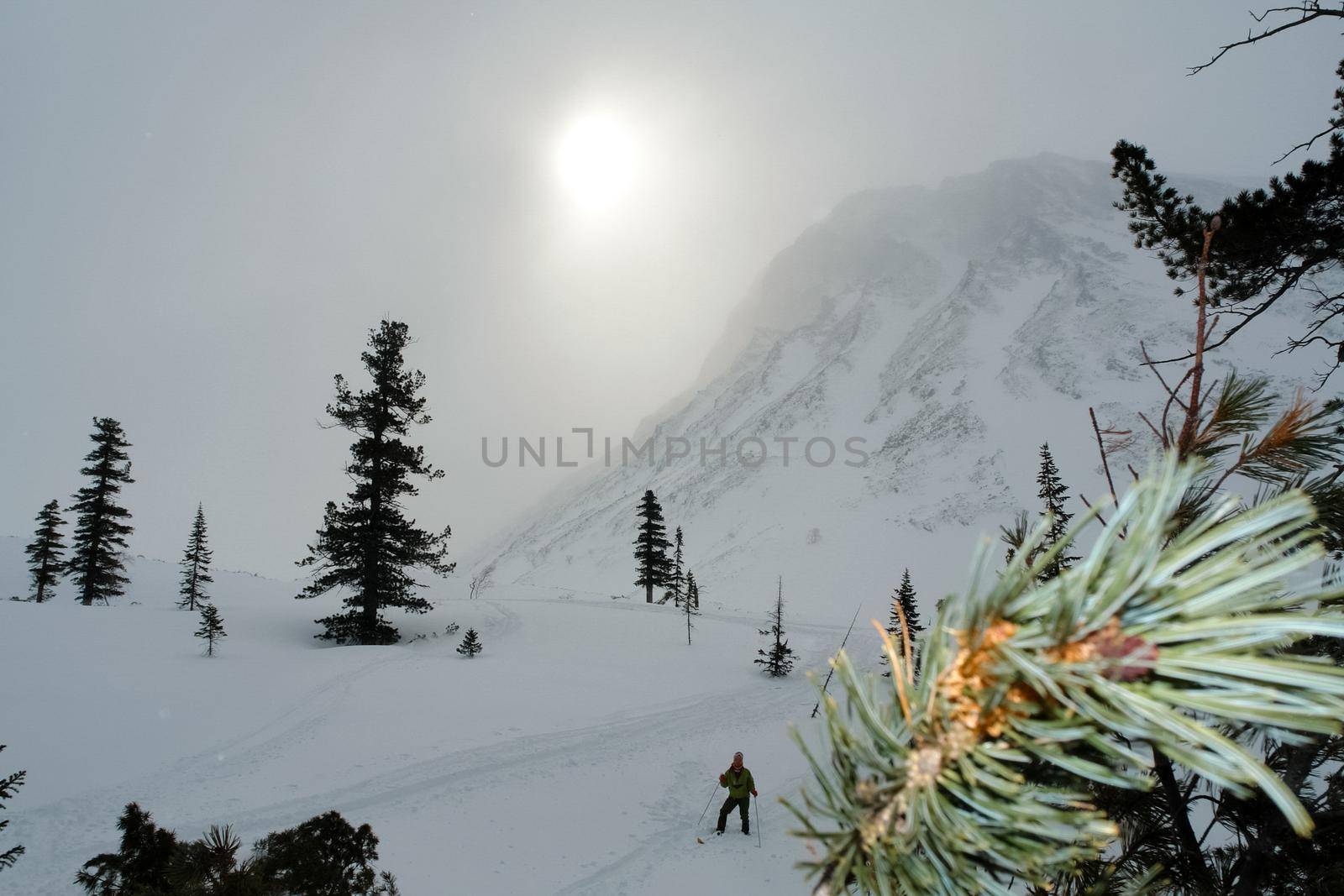 Baikal mountains in winter in snow. Forest in snow-covered mountains.