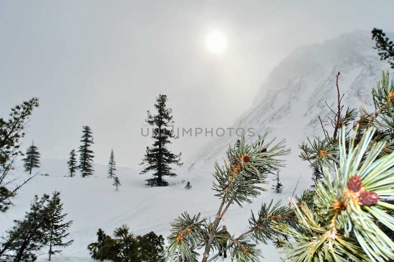 Baikal mountains in winter in snow. Forest in snow covered mountains. by DePo