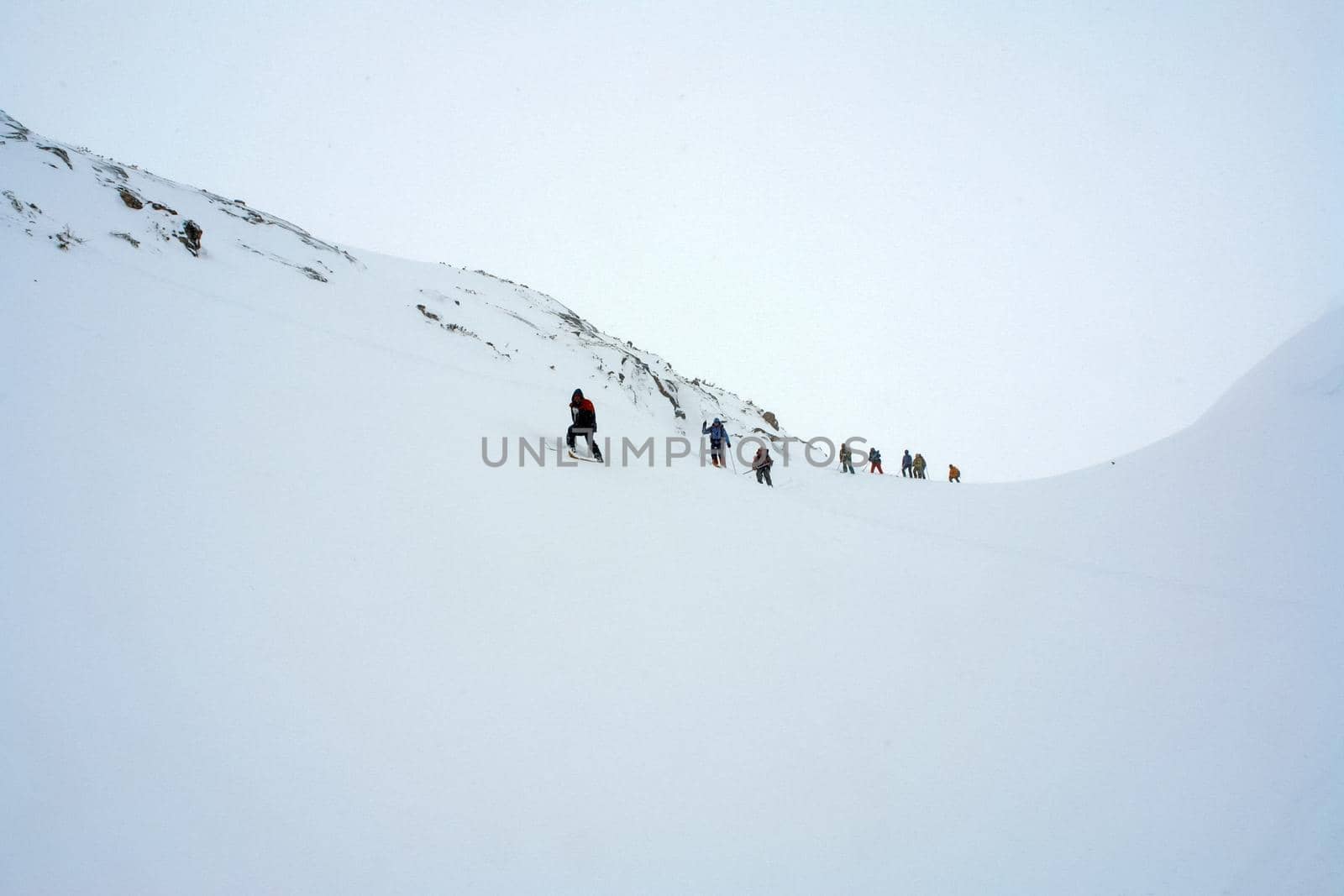 company of skiers in the mountains in the snow. Skiing. by DePo