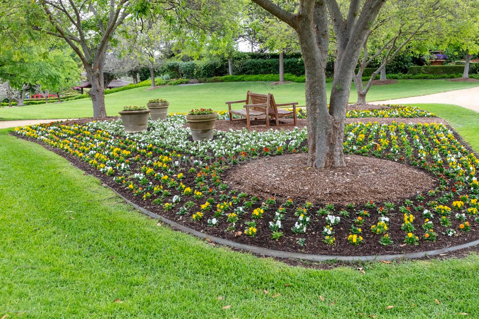 A colourful arrangement of flowers around the base of a large tree with pots and park benches