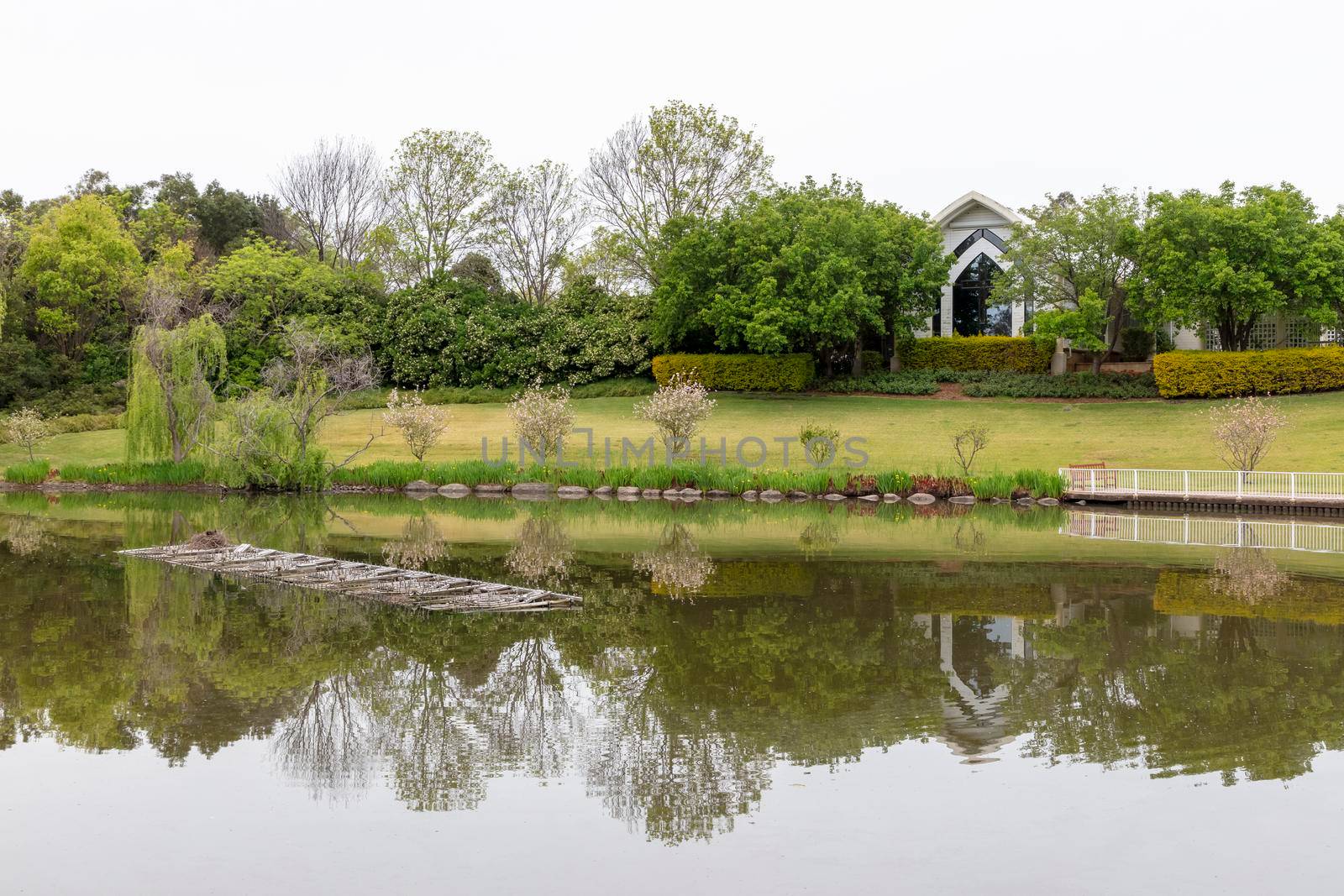 A waterfowl nesting on a portable fireworks pontoon floating on a lake in a large public garden