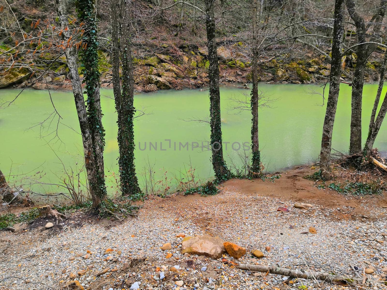 Green river with the trees on the shore, spring time, Russia